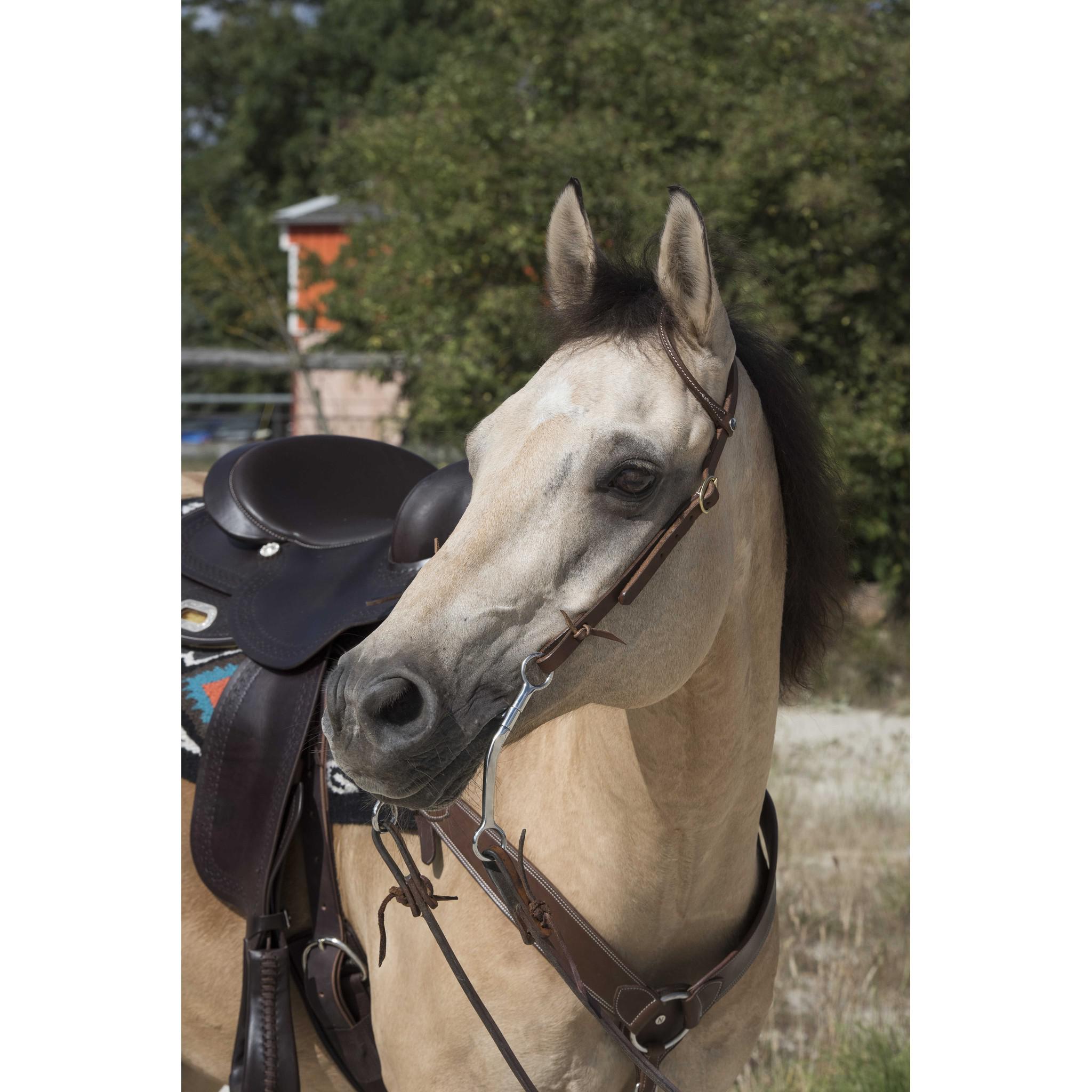 Westride one ear Bridle by Franck Perret Chocolate 802064318