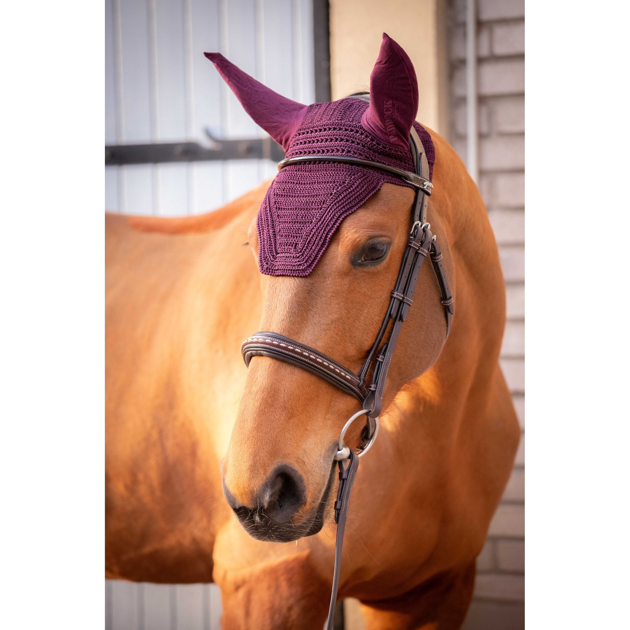 Paddock Sports Prem's Fly Veil Plum - 306969334_ambi_5