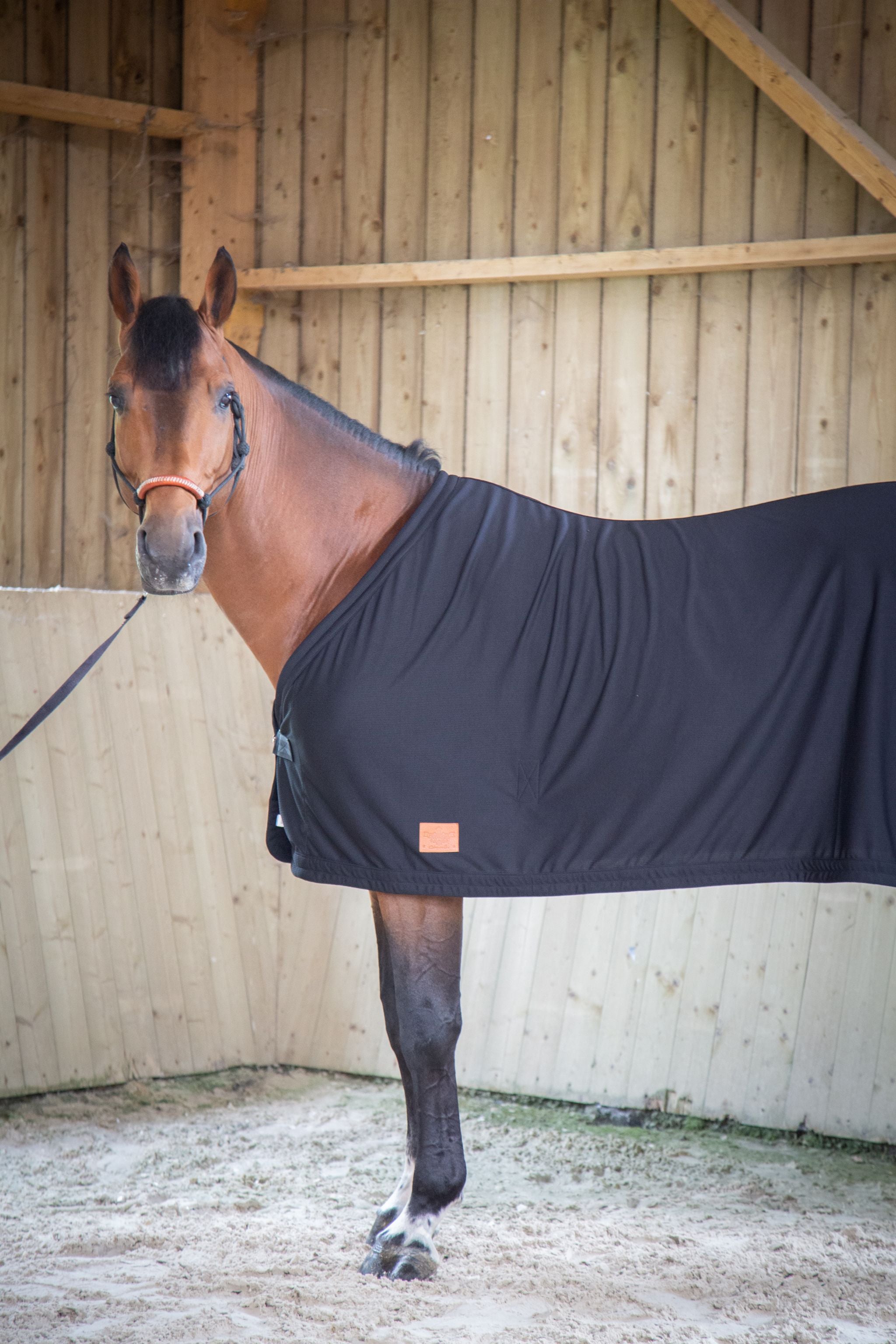 Paddock Sports cooler sheet Black