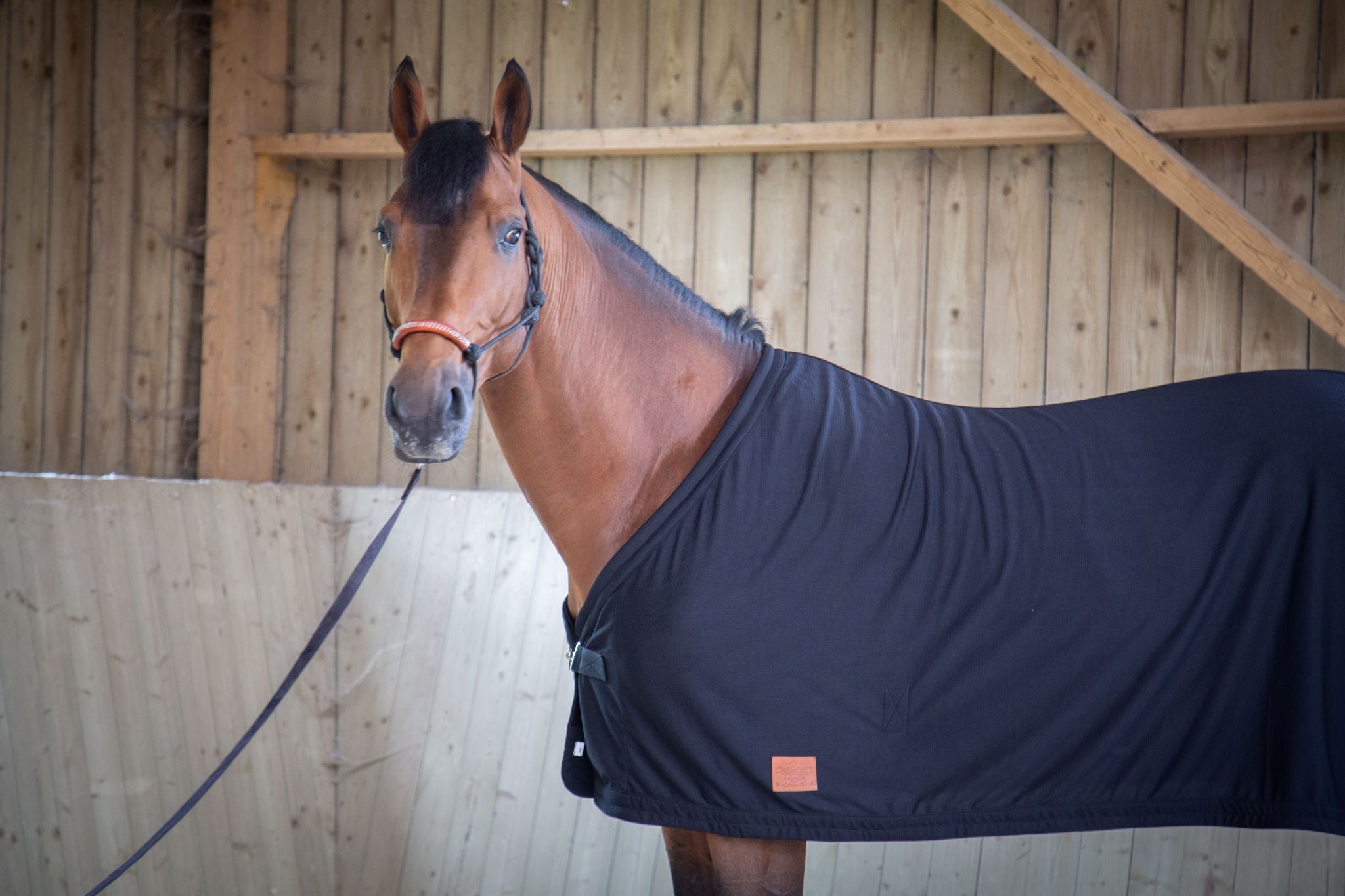 Paddock Sports cooler sheet Black