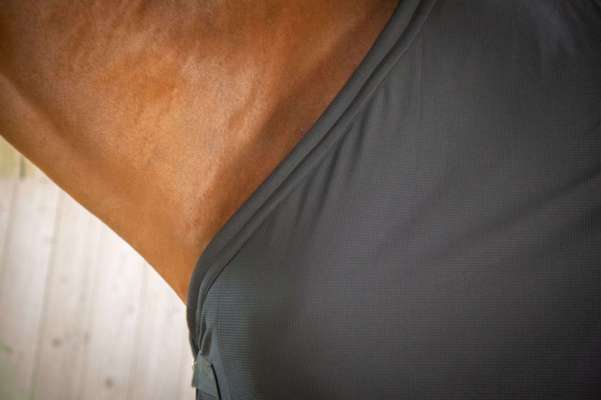 Paddock Sports cooler sheet Black