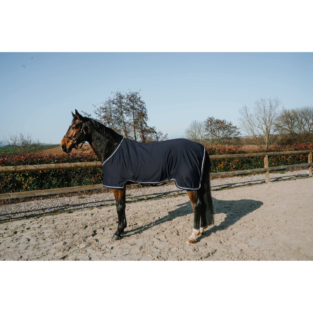 EQUITHÈME EK-Easyfit Sheet - Navy blue - 400085760_ambi_1