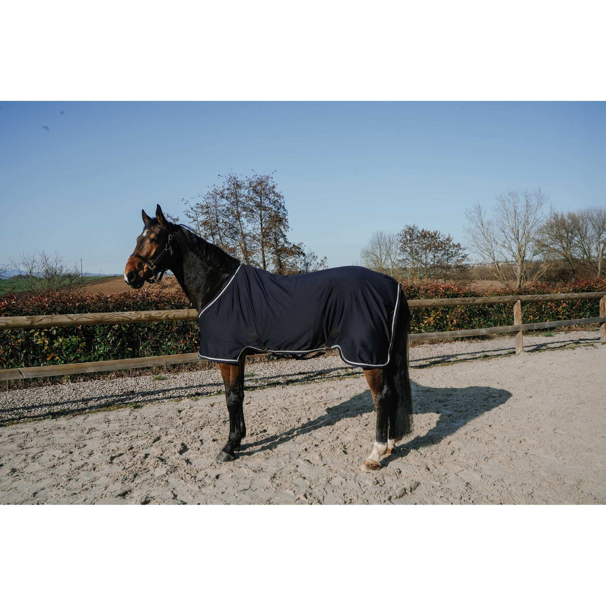 EQUITHÈME EK-Easyfit Sheet - Navy blue - 400085760_ambi_2