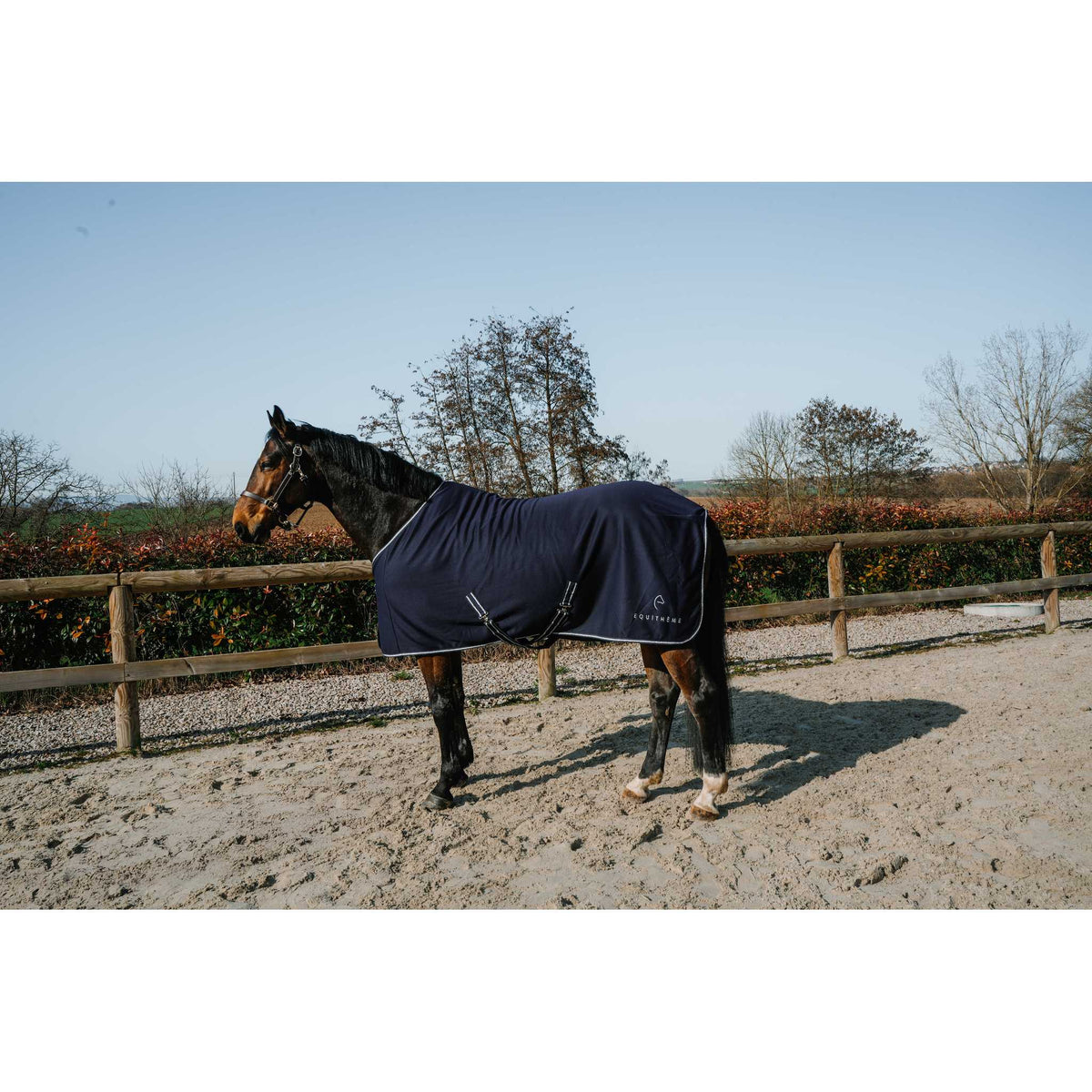 EQUITHÈME Heavy Glitter Fleece Shirt - Navy blue - 400086769_ambi_1