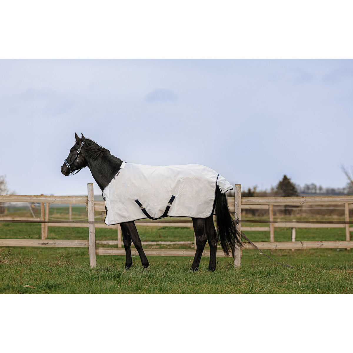 EQUITHÈME PVC Anti-UV Sheet - White - 400352063_ambi_2