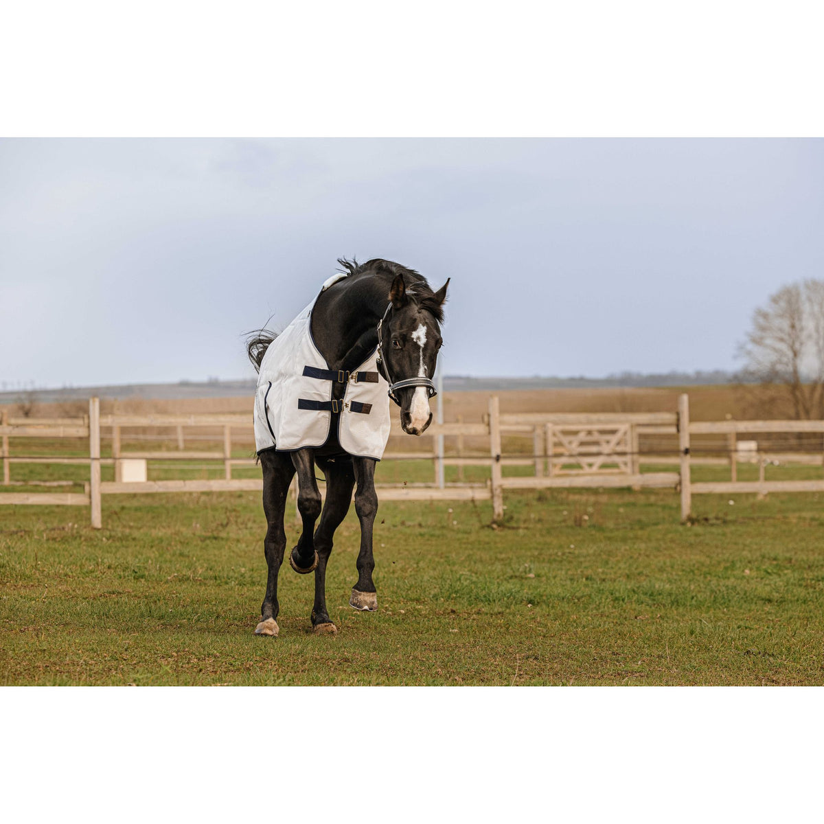 EQUITHÈME PVC Anti-UV Sheet - White - 400352063_ambi_4