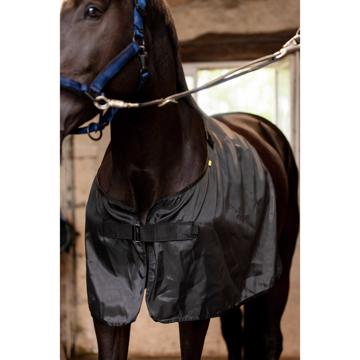 K by EQUITHÈME K-Pure Skin Shoulder Protection - Black - 400407003_ambi_1