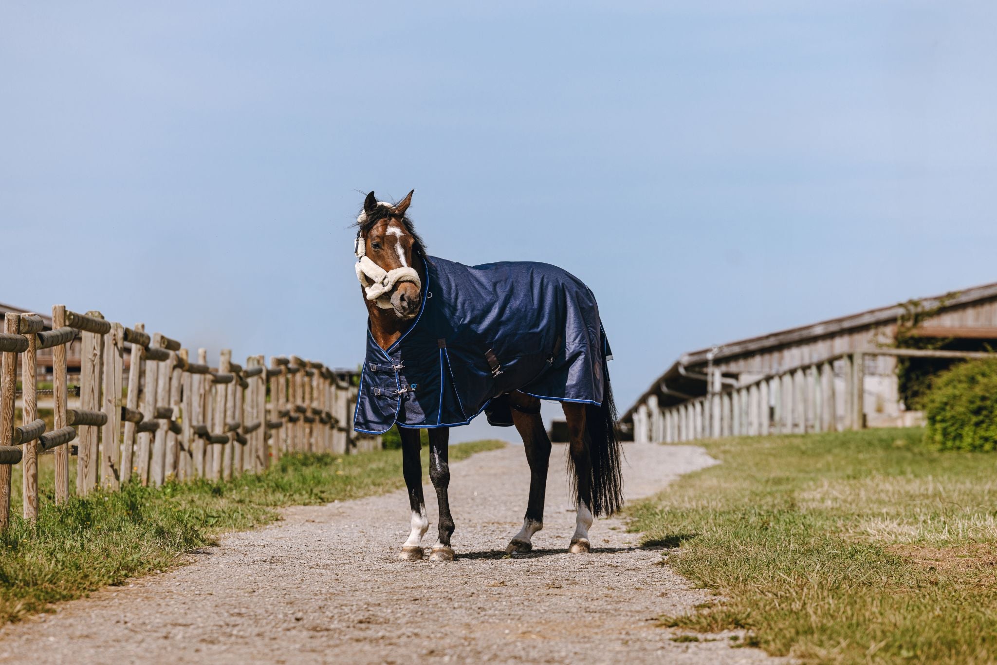 EQUITHÈME Classic 1200D Turnout rug - High neck Navy blue