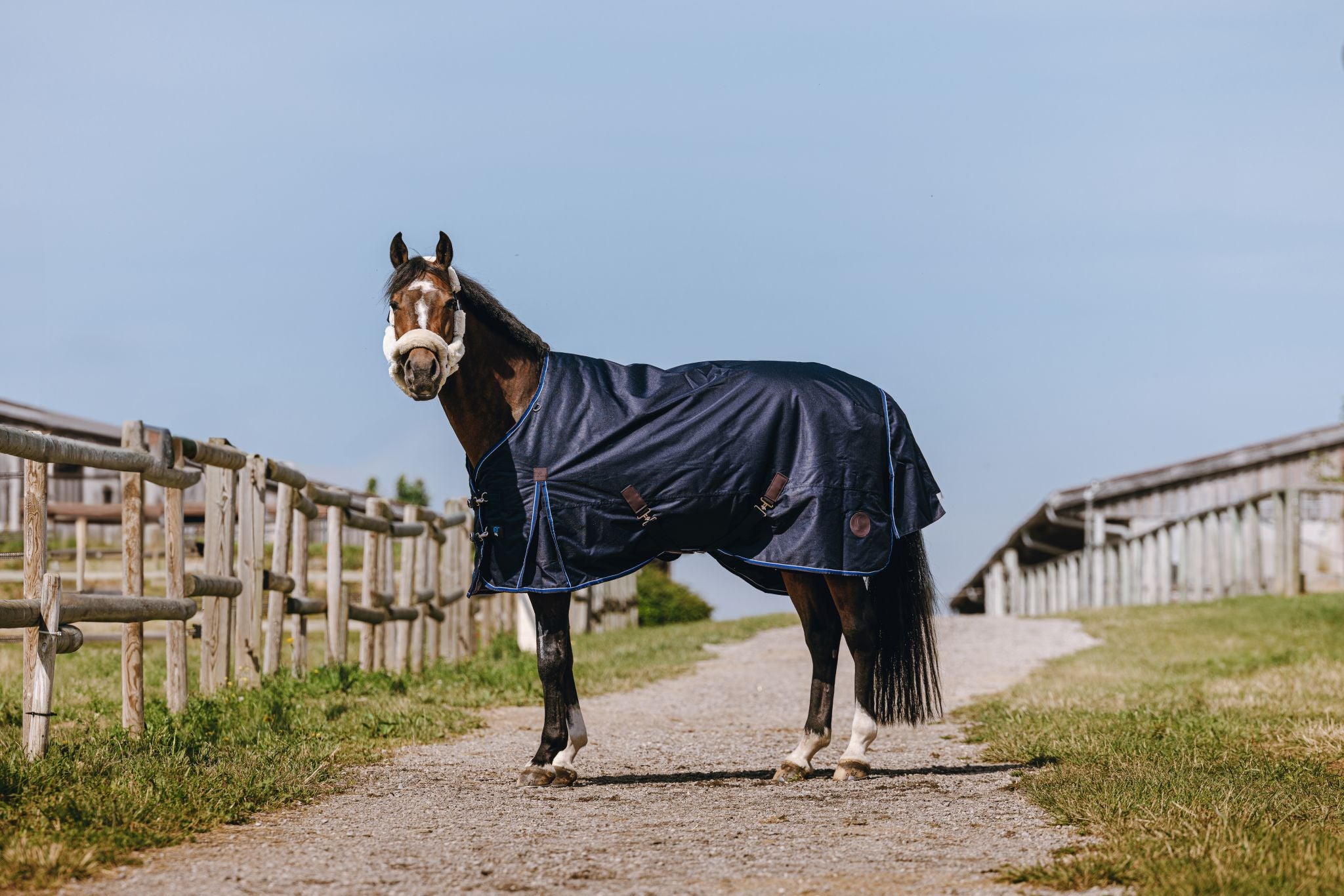 EQUITHÈME Classic 1200D Turnout rug - High neck Navy blue