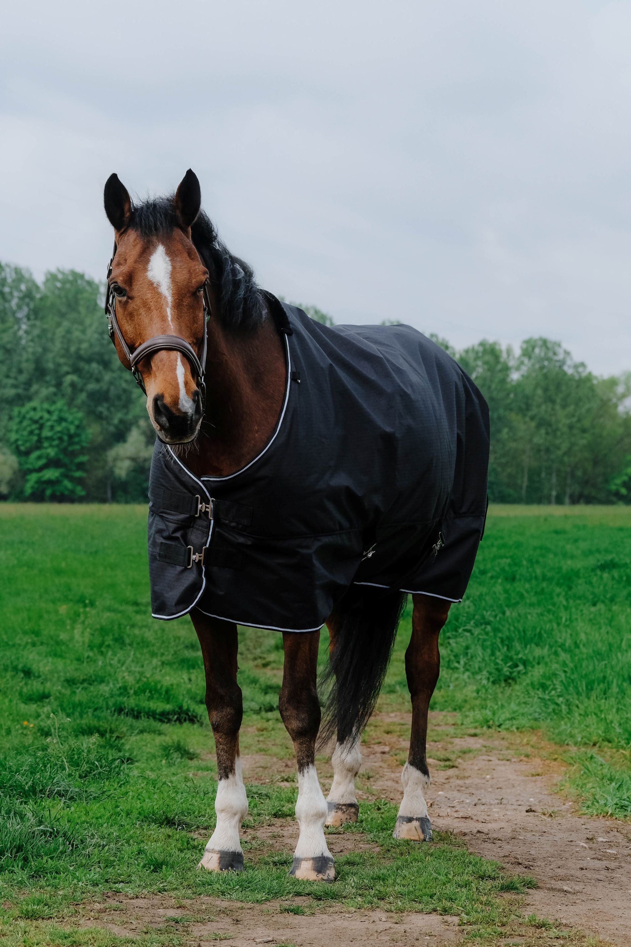 EQUITHÈME Tyrex New 600D Rug - Standard Black
