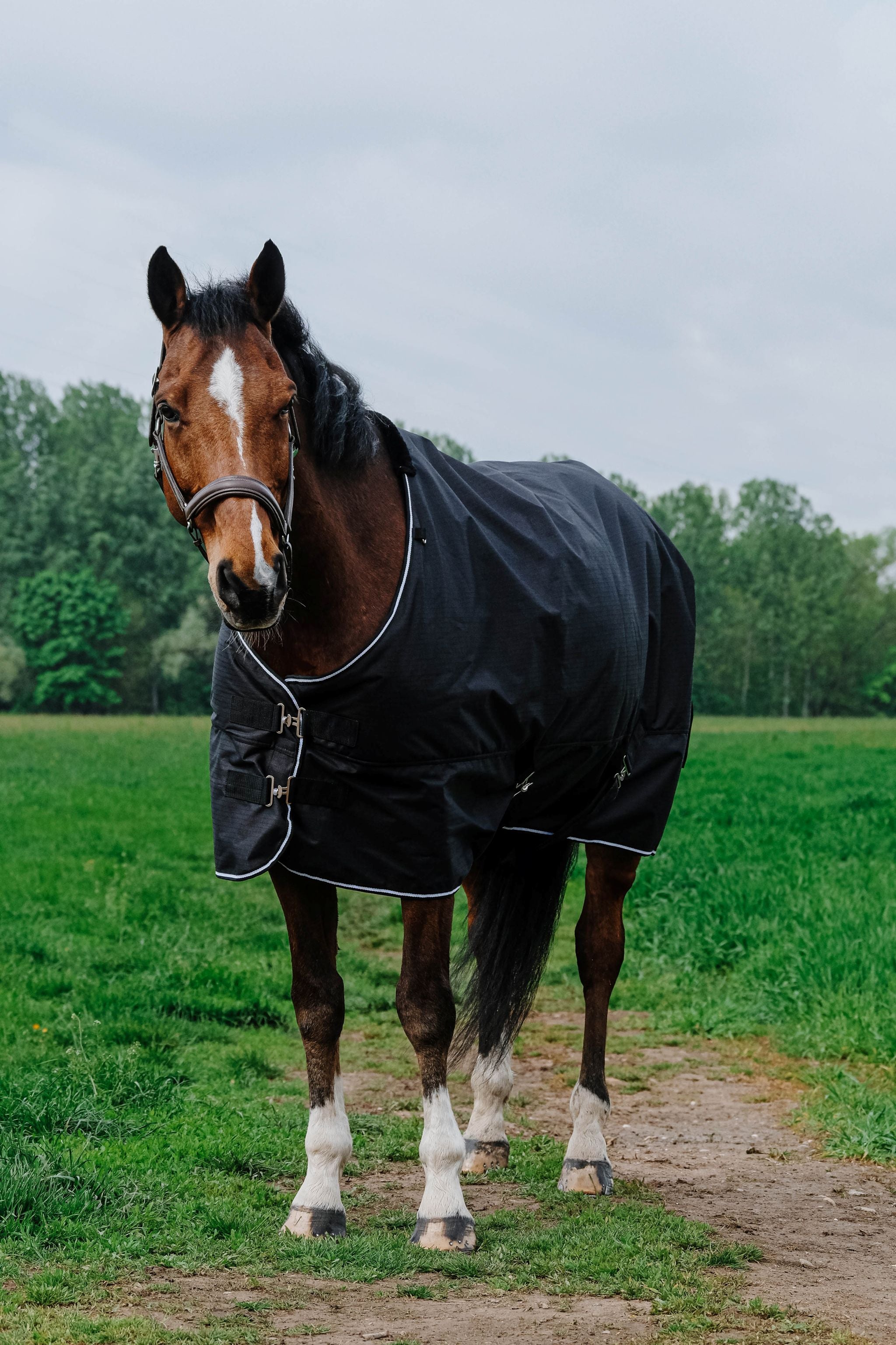 EQUITHÈME Tyrex New 600D Rug - Standard Black