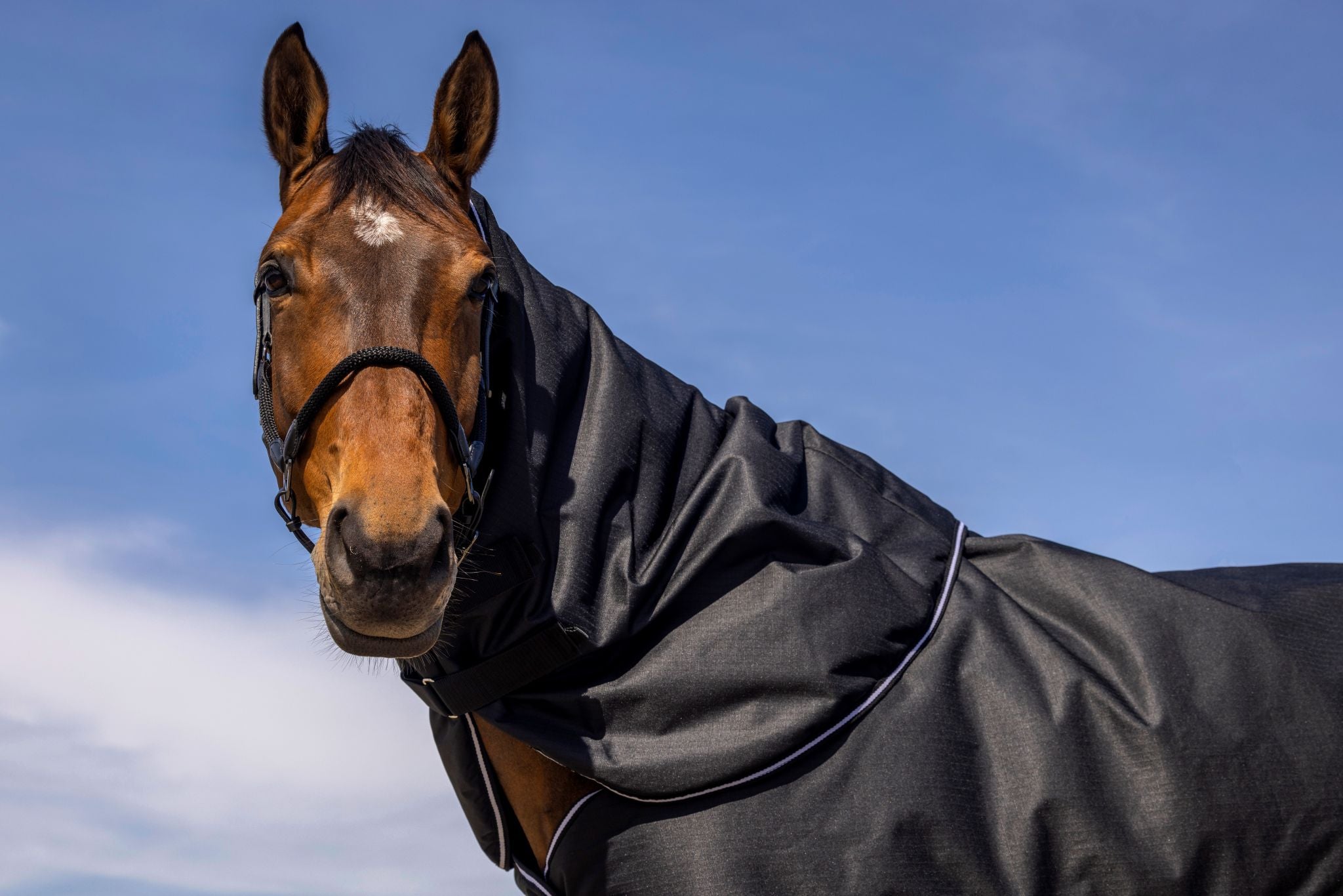 EQUITHÈME 600D Neck cover Black