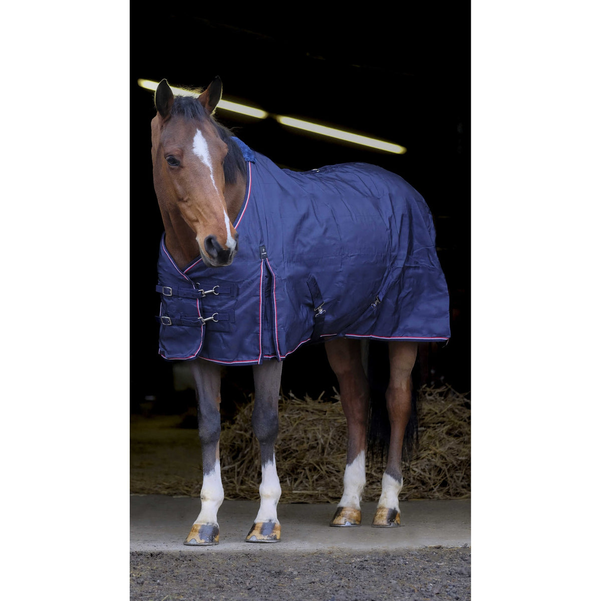 EQUITHÈME 840D Stable Blanket - Standard - Navy blue - 400798063_ambi_1