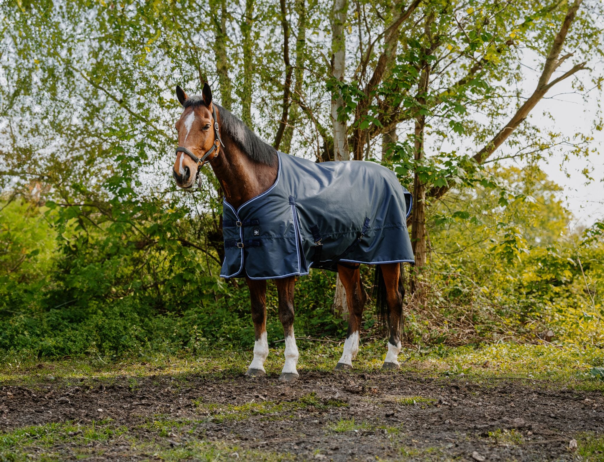Riding World Eco 1200D Sheet - Standard Navy blue