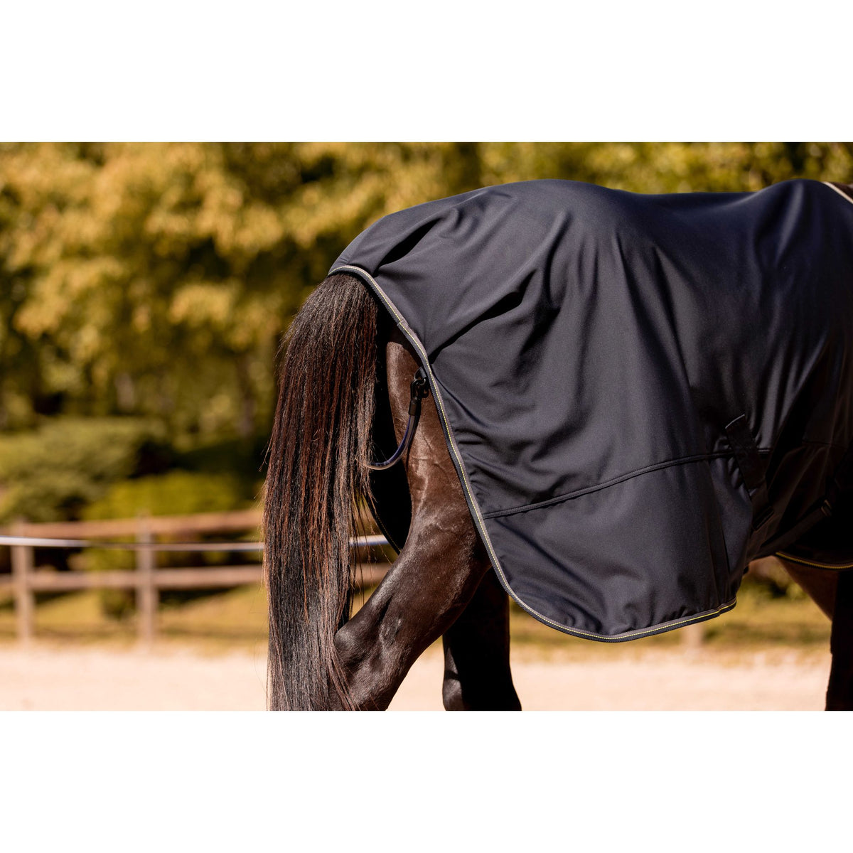 K by EQUITHÈME K-Eros Softshell Walking Shirt - Navy blue - 400884763_ambi_8
