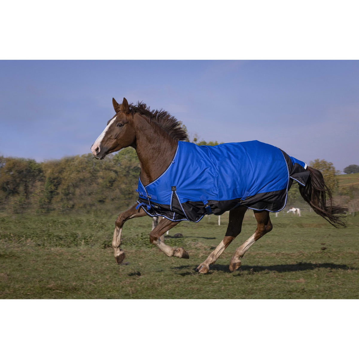 EQUITHÈME Tyrex 1200D Aisance Sheet - Standard - Royal blue/black - 400939863_ambi_1