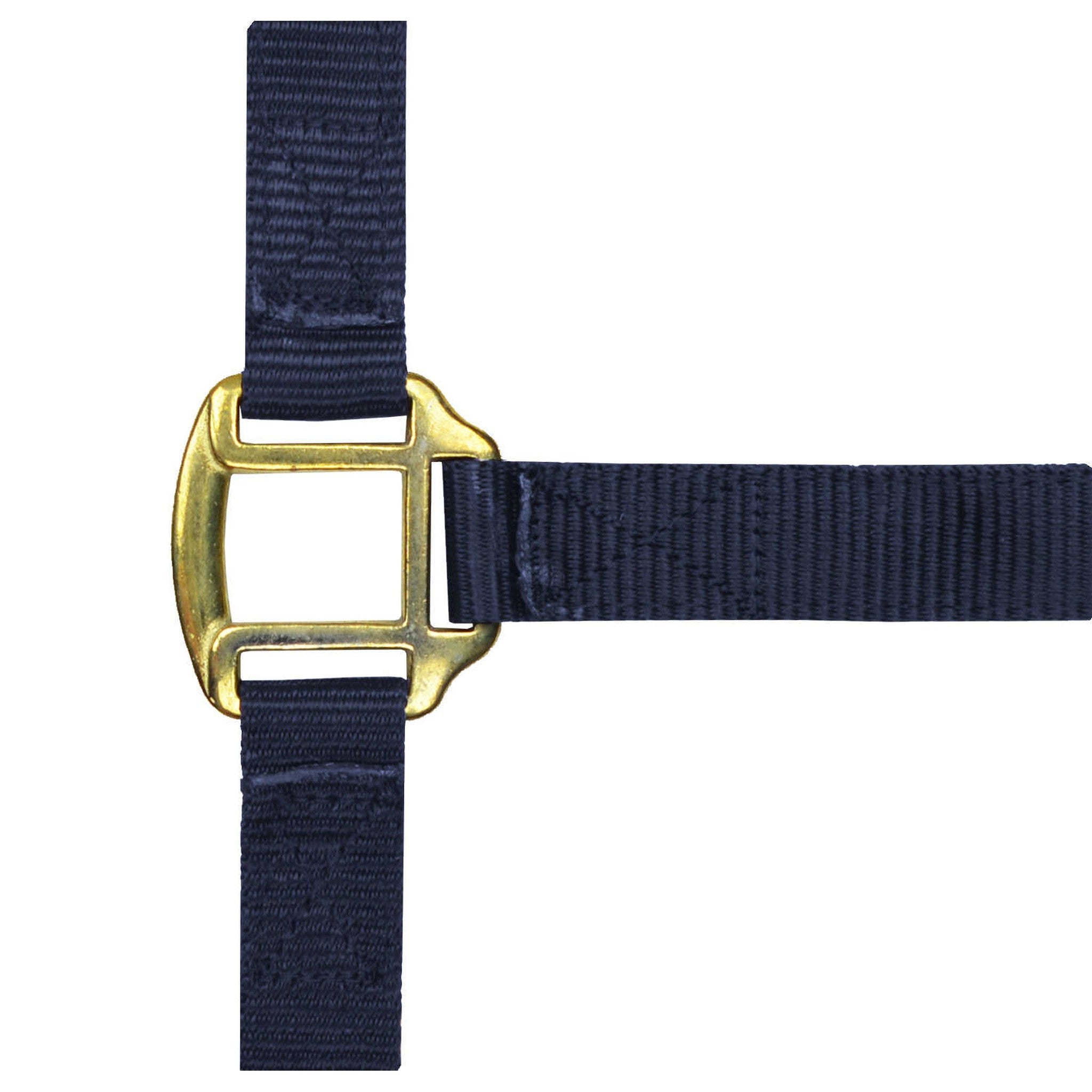 Norton Leather lined nylon headcollar Navy blue 510185007