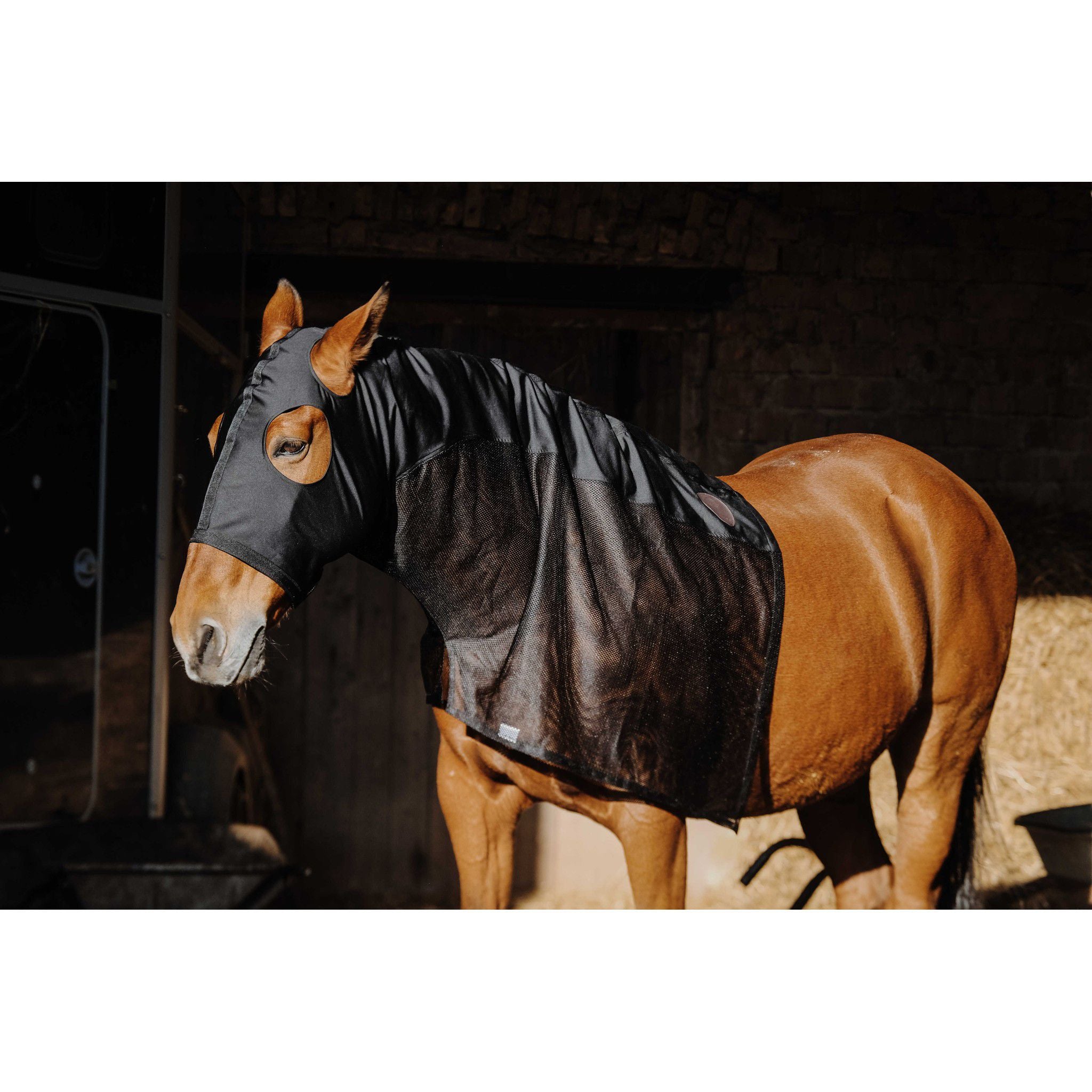 EQUITHÈME Lycra/Mesh Head and Neck Cover Black 400412202