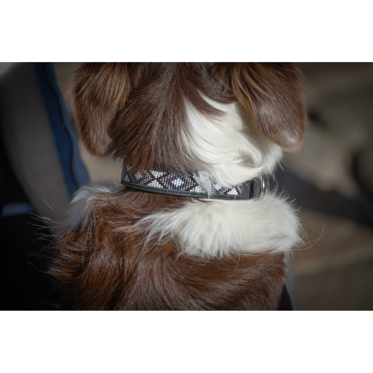 Pénélope Pearl Dog Collar - Black/white - 409821030_ambi_1