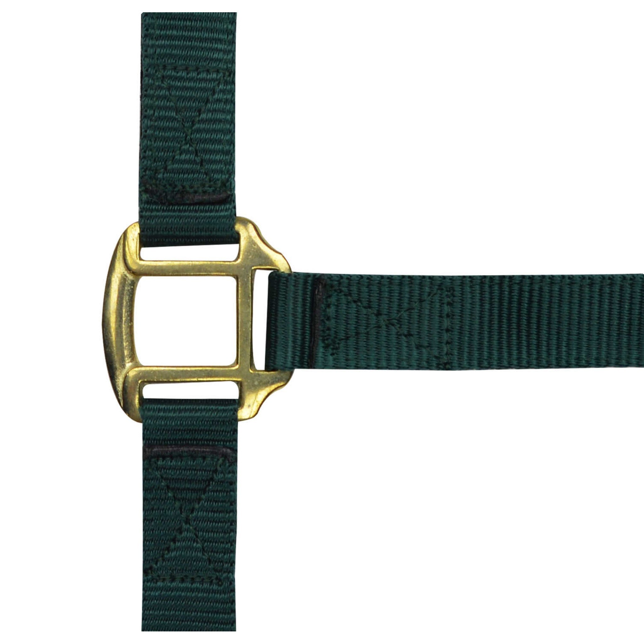 Norton Leather lined nylon headcollar Dark green 510190009
