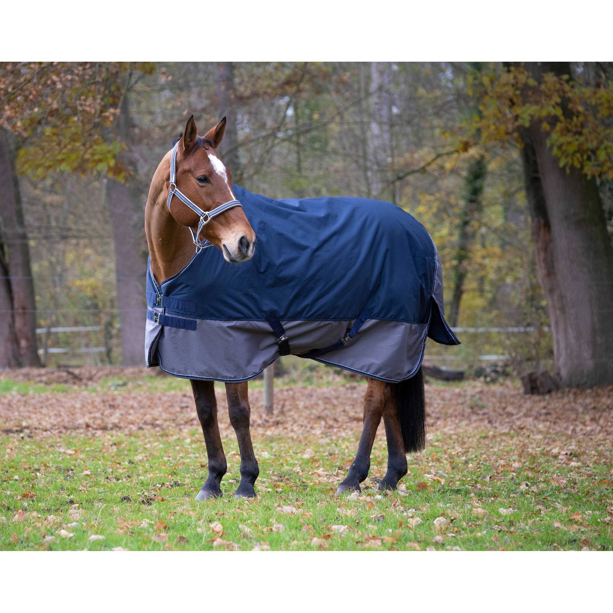 EQUITHÈME Tyrex New 600D Rug - Standard Navy blue/grey 400917763