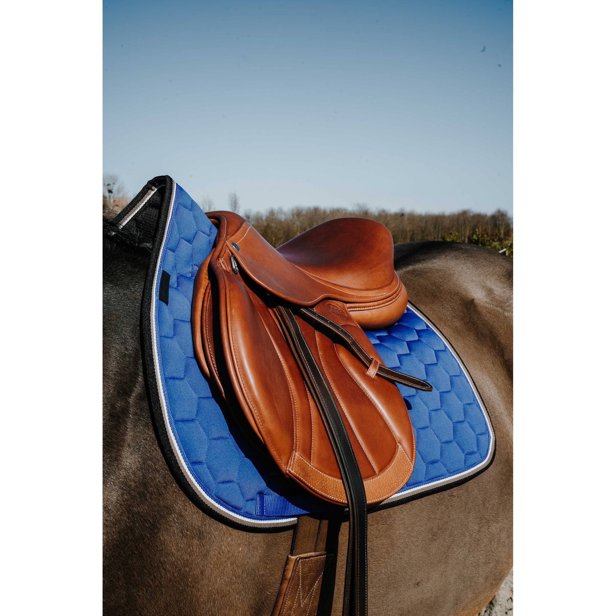 EQUITHÈME All-Purpose Saddle Pad - Coco Royal blue - 204913006_ambi_2