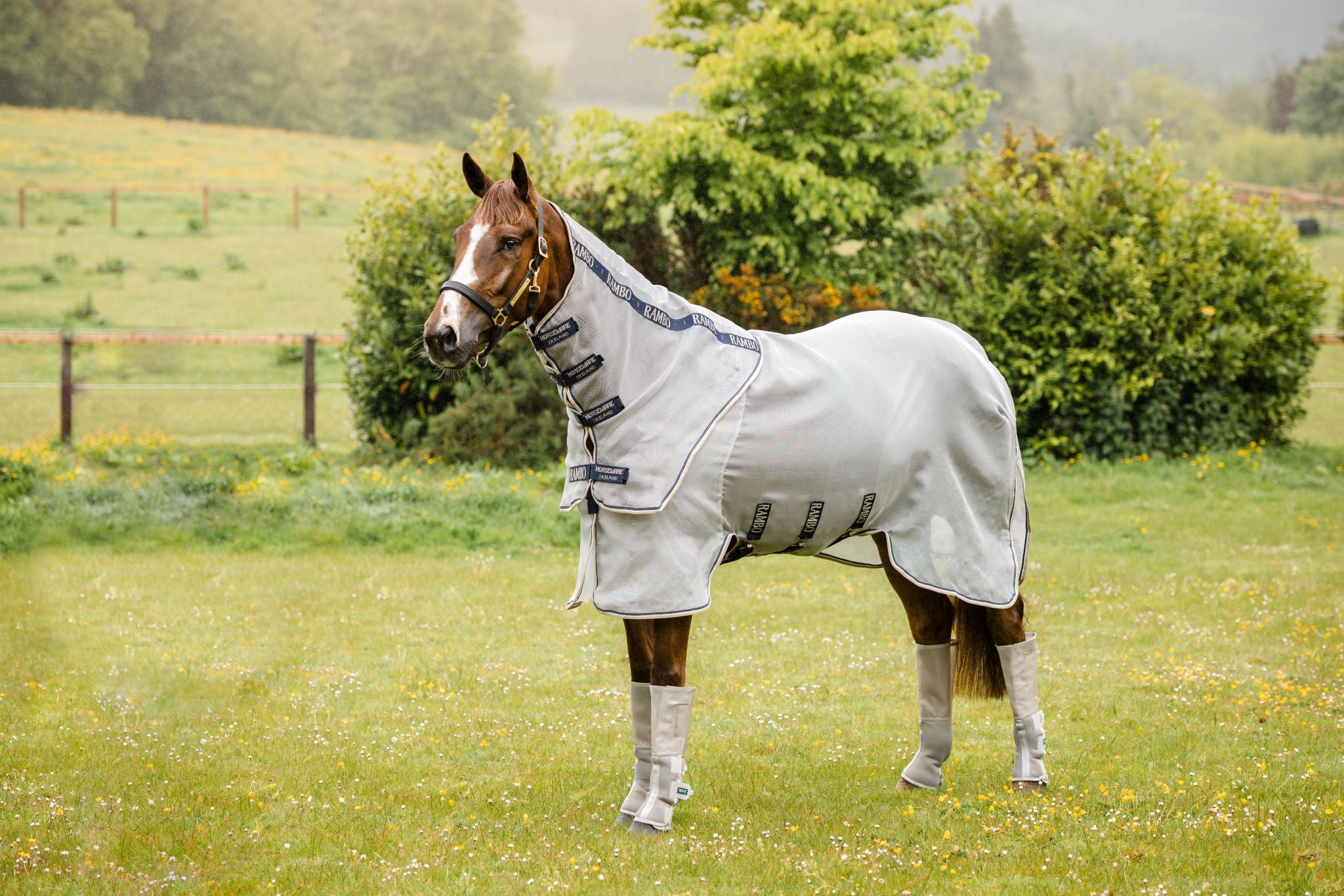 Horseware Rambo Protector fly sheet Grey/navy