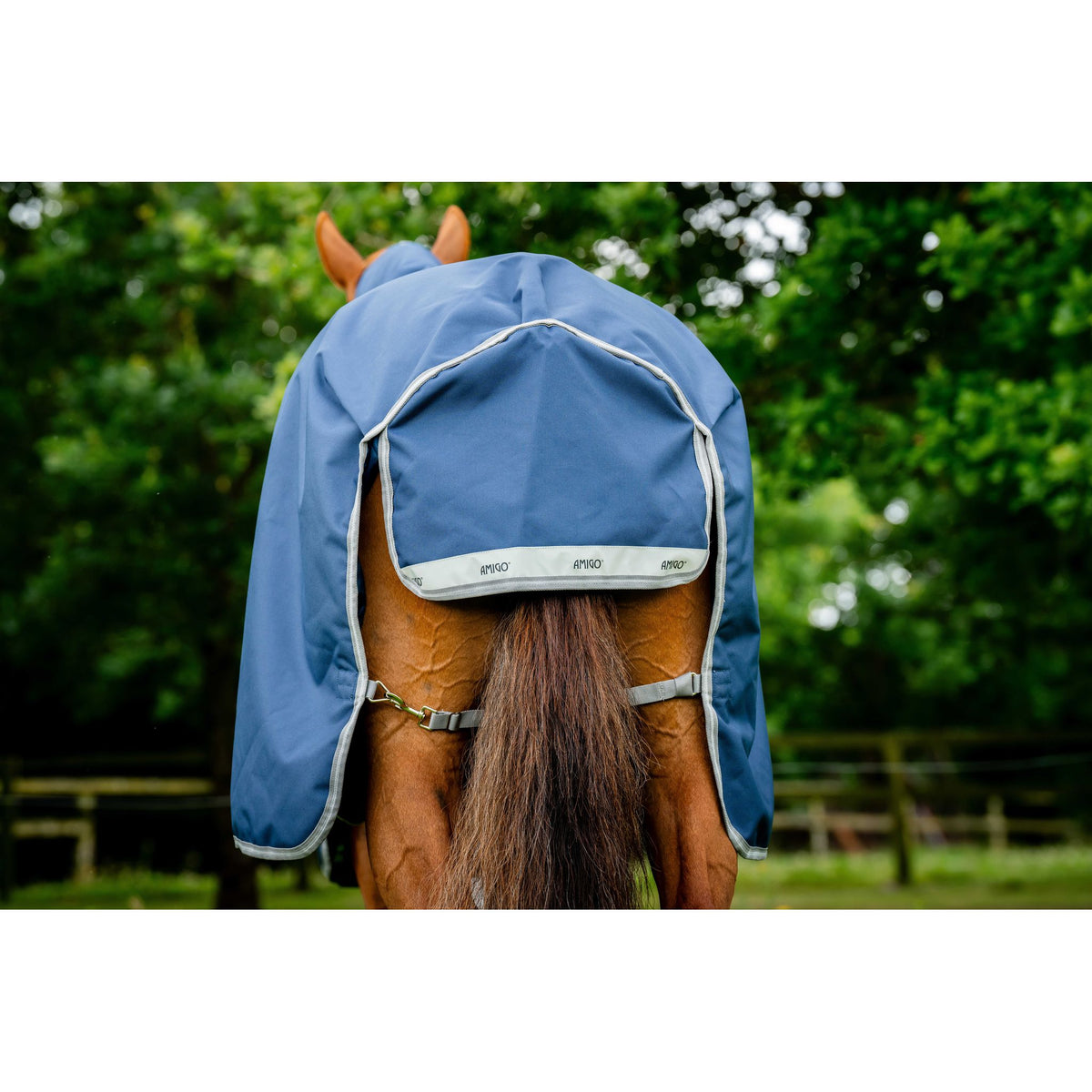 Horseware Amigo 1200D Blanket - Standard - Navy blue - 420057063_ambi_2