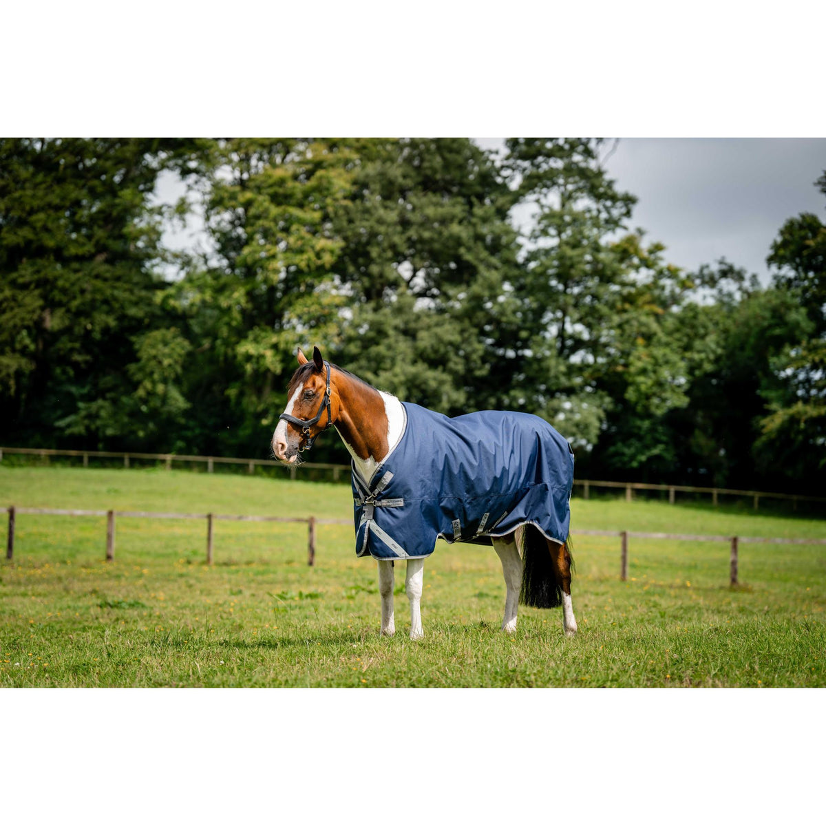 Horseware Amigo 1200D Blanket - Standard - Navy blue - 420057063_ambi_4
