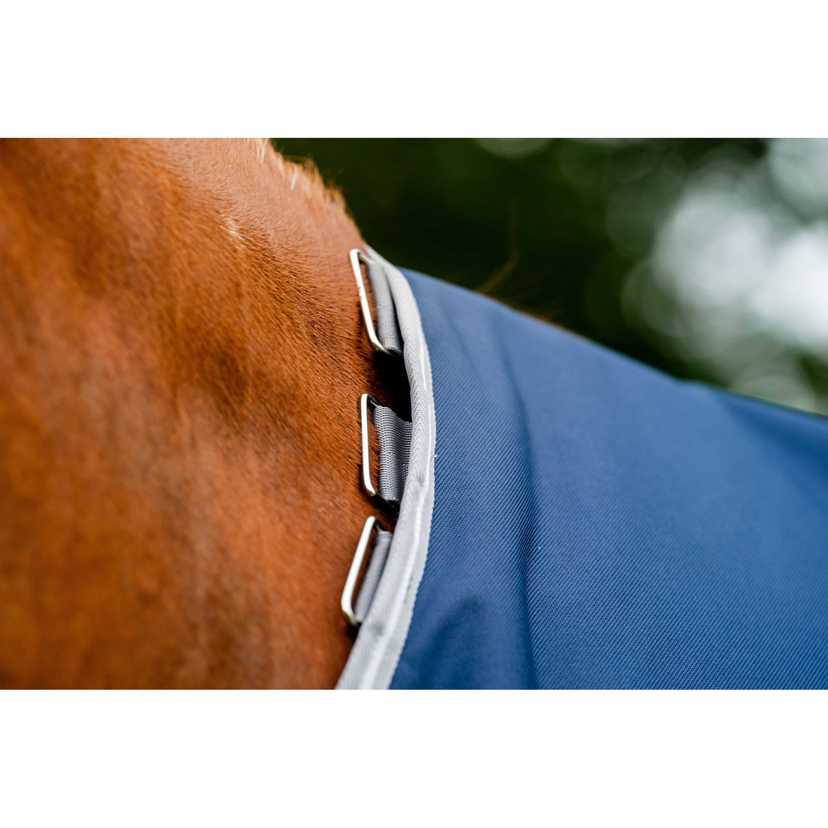 Horseware Amigo 1200D Blanket - Standard - Navy blue - 420057063_ambi_6