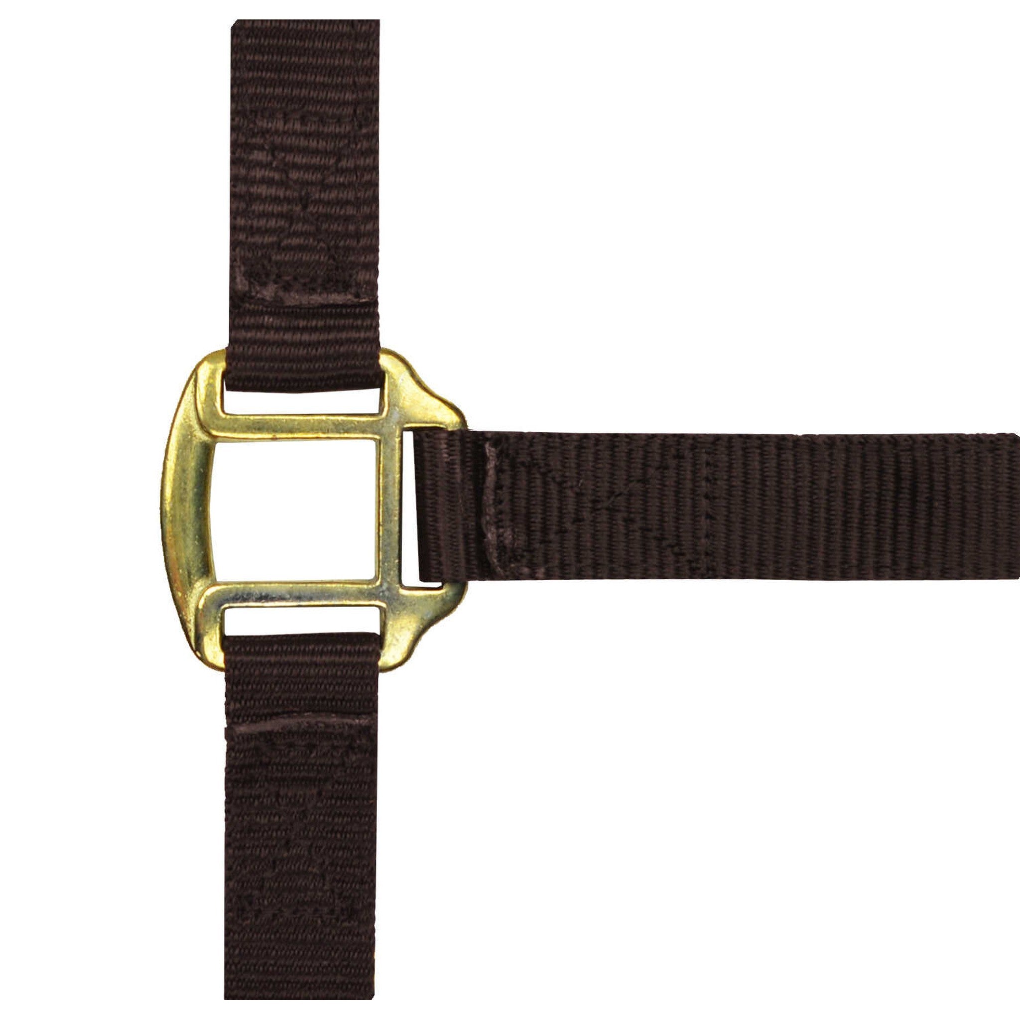 Norton Leather lined nylon headcollar Brown 510185004
