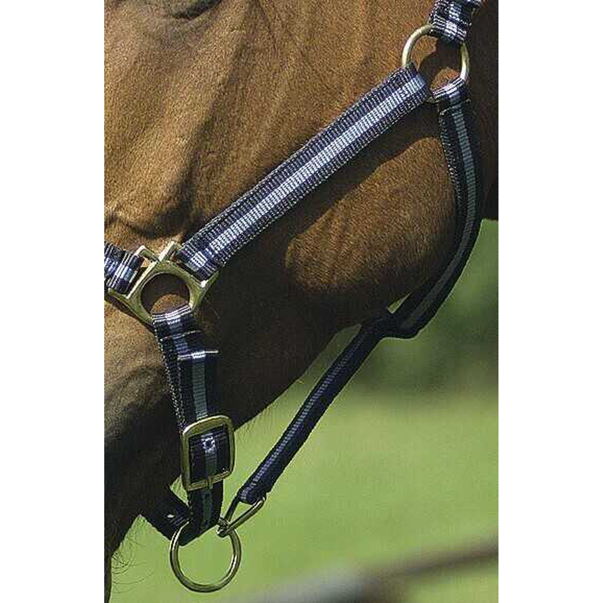 Norton Leather lined nylon headcollar Navy/light blue 510175712