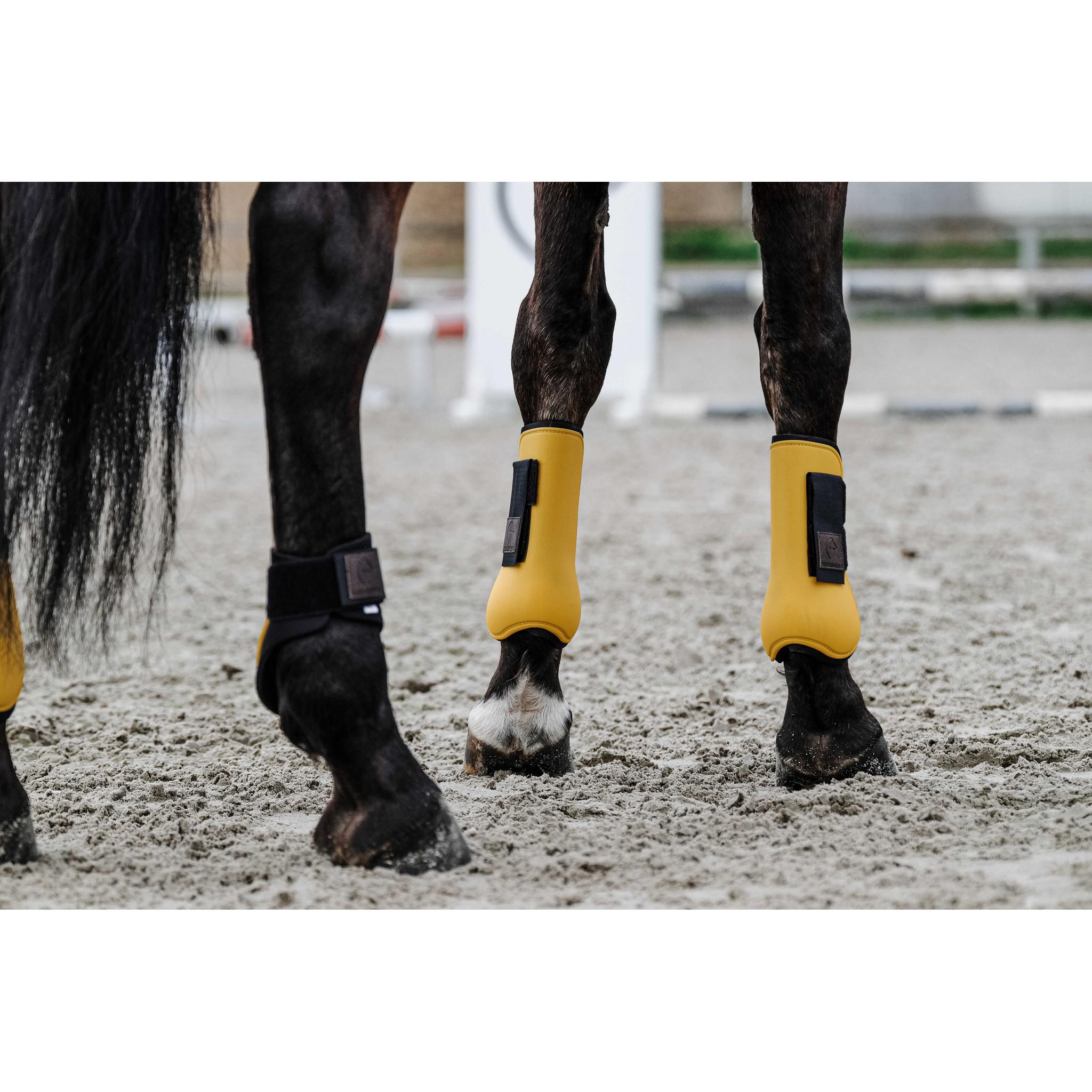 EQUITHÈME Tara Tendon boots Gold 530816310