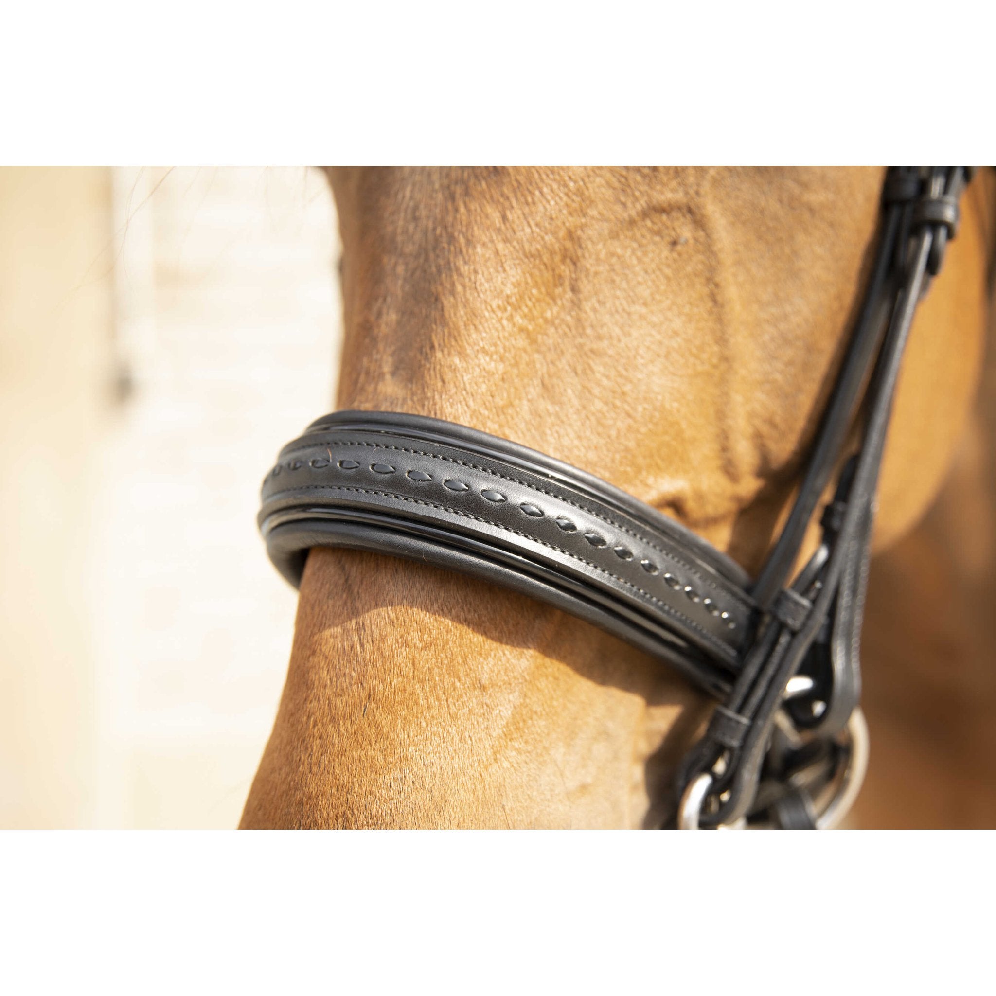 Penelope Point Sellier Bridle Black - 303100202_ambi_5