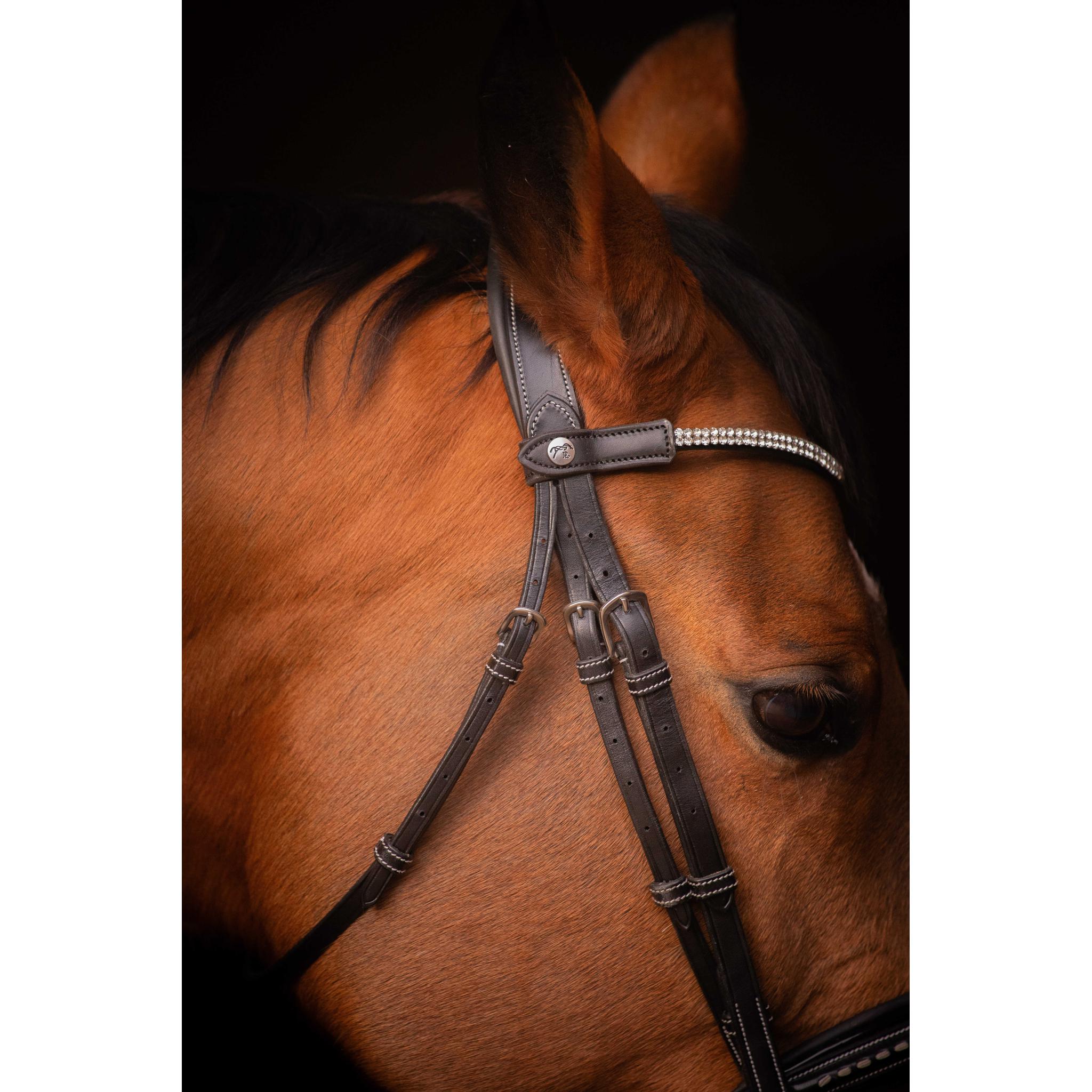 PENELOPE ASTRÉE Browband Black - 304402302_ambi_2