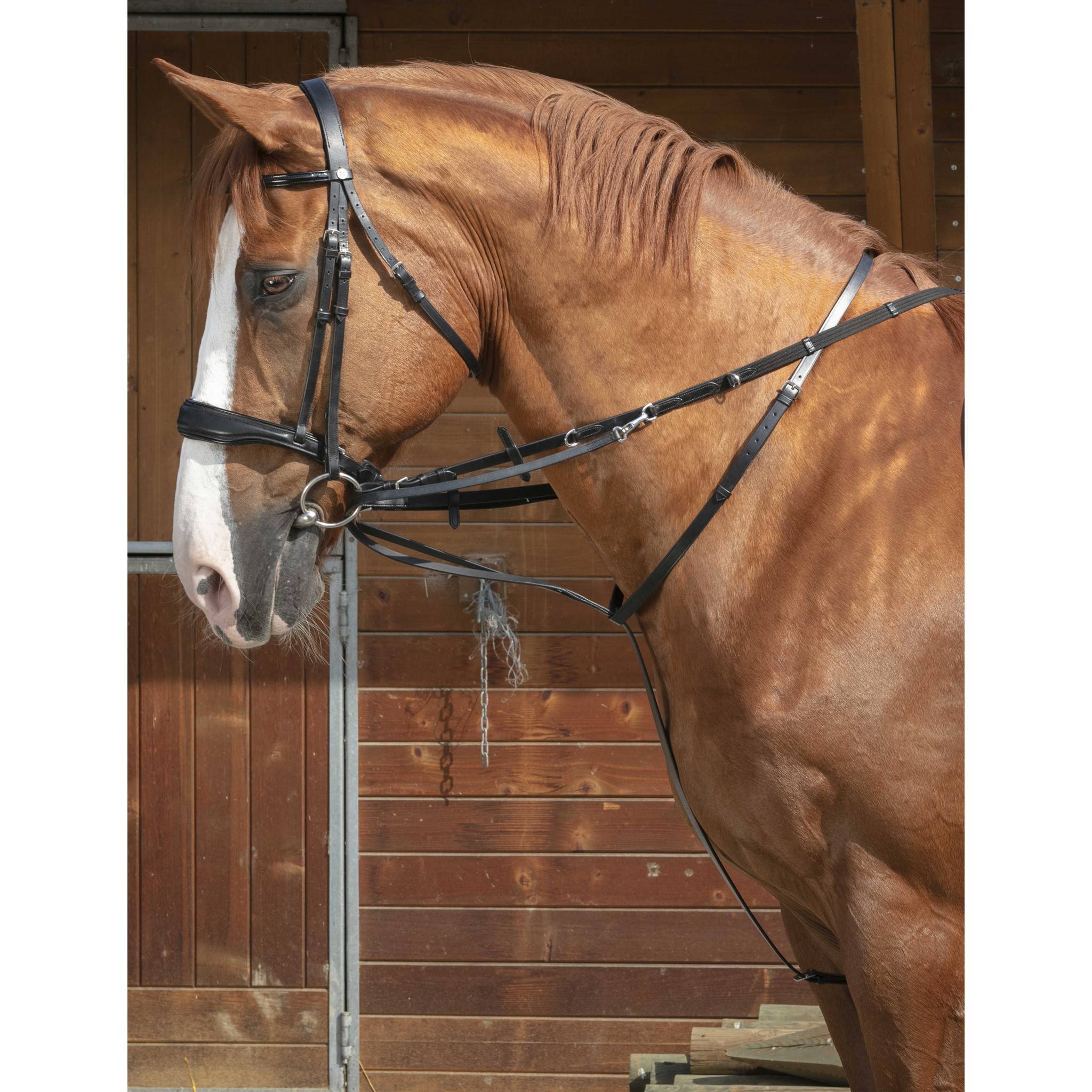 Norton Pro Thiedeman side reins Havana 306426318