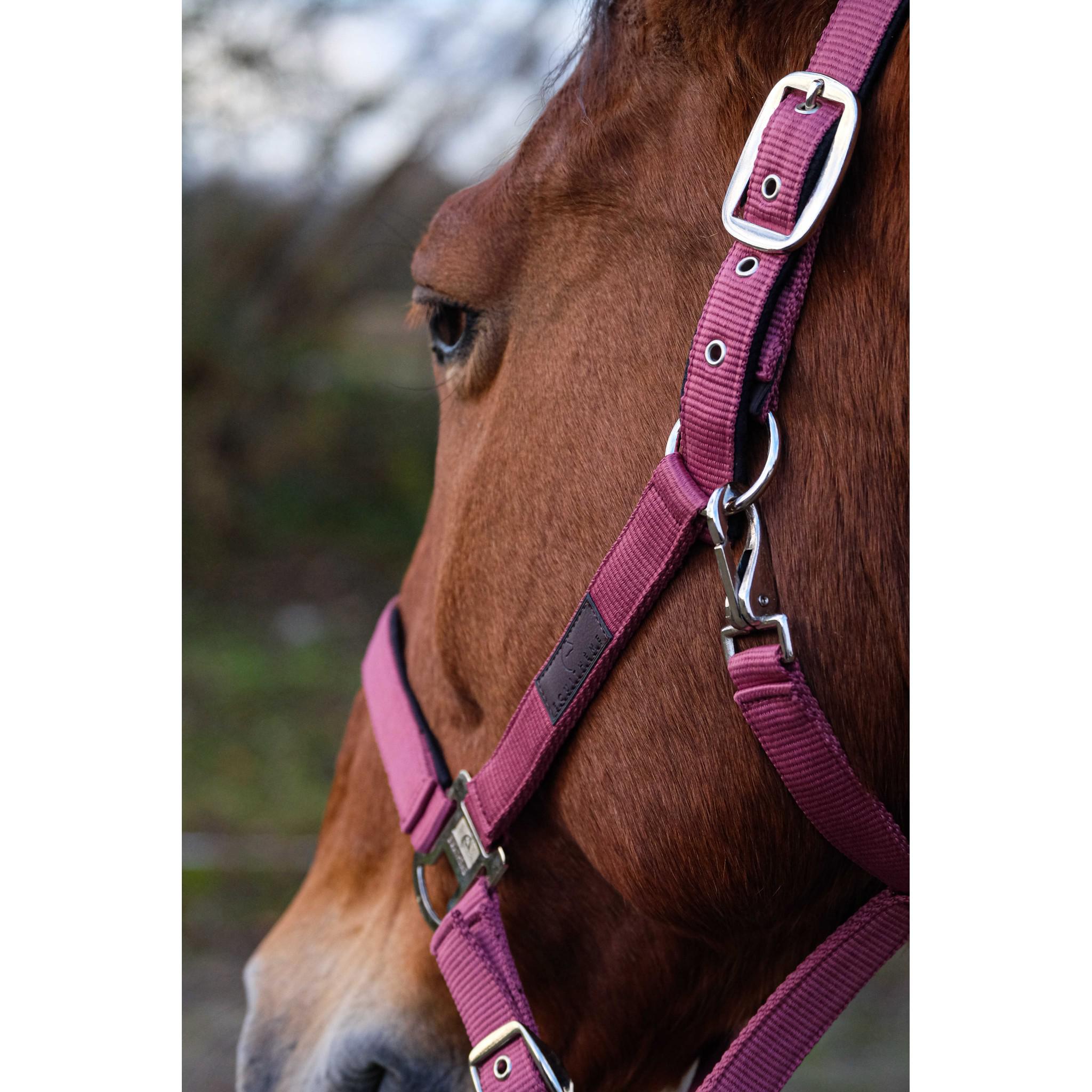 EQUITHÈME Spring Halter Pink 510257013