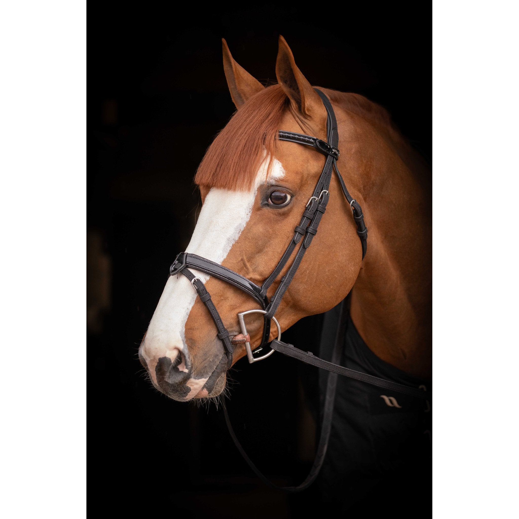 Penelope Oxford Bridle Black - 301608302_ambi_1