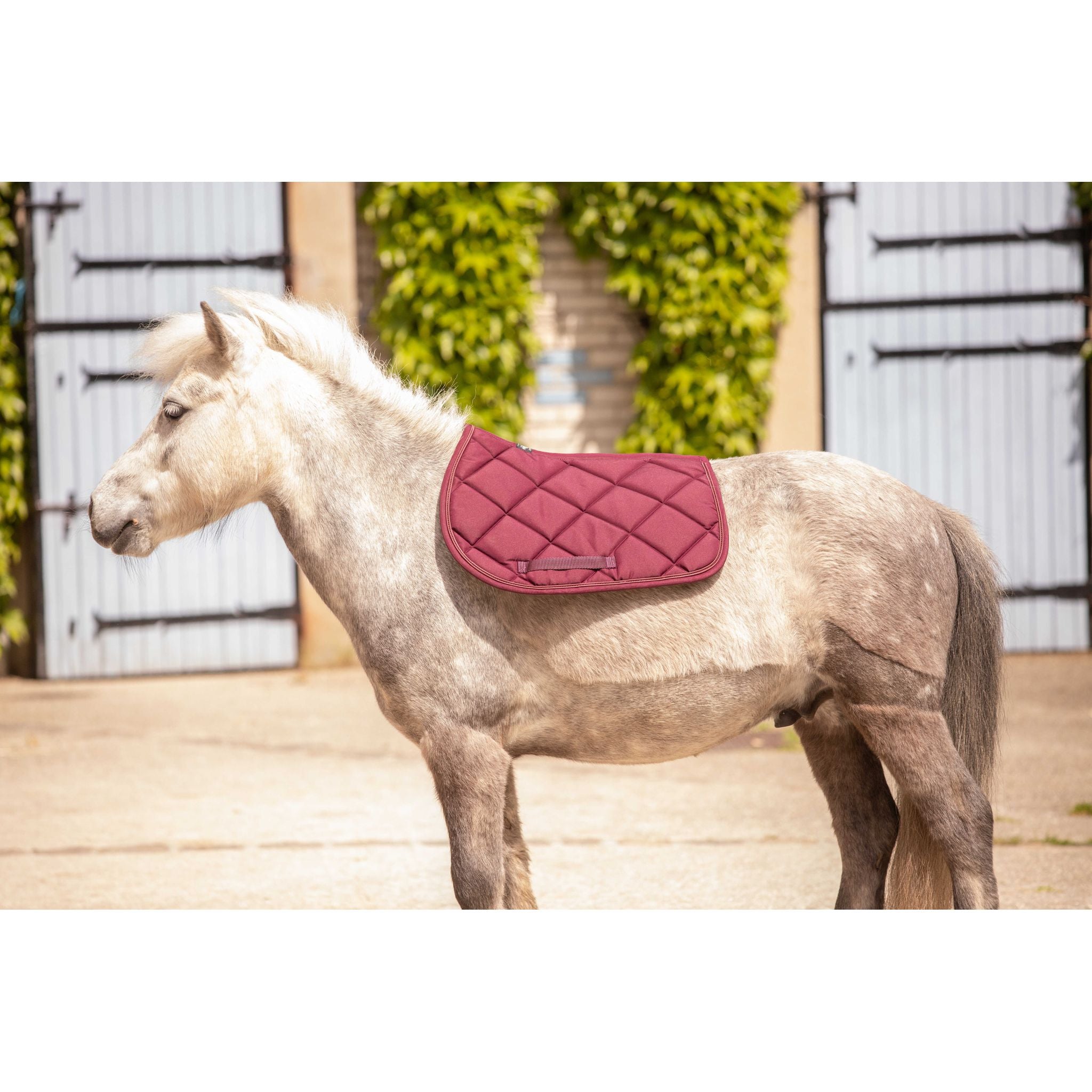 Paddock Sports Prem's All-Purpose Saddle Pad Plum - 204746034_ambi_5