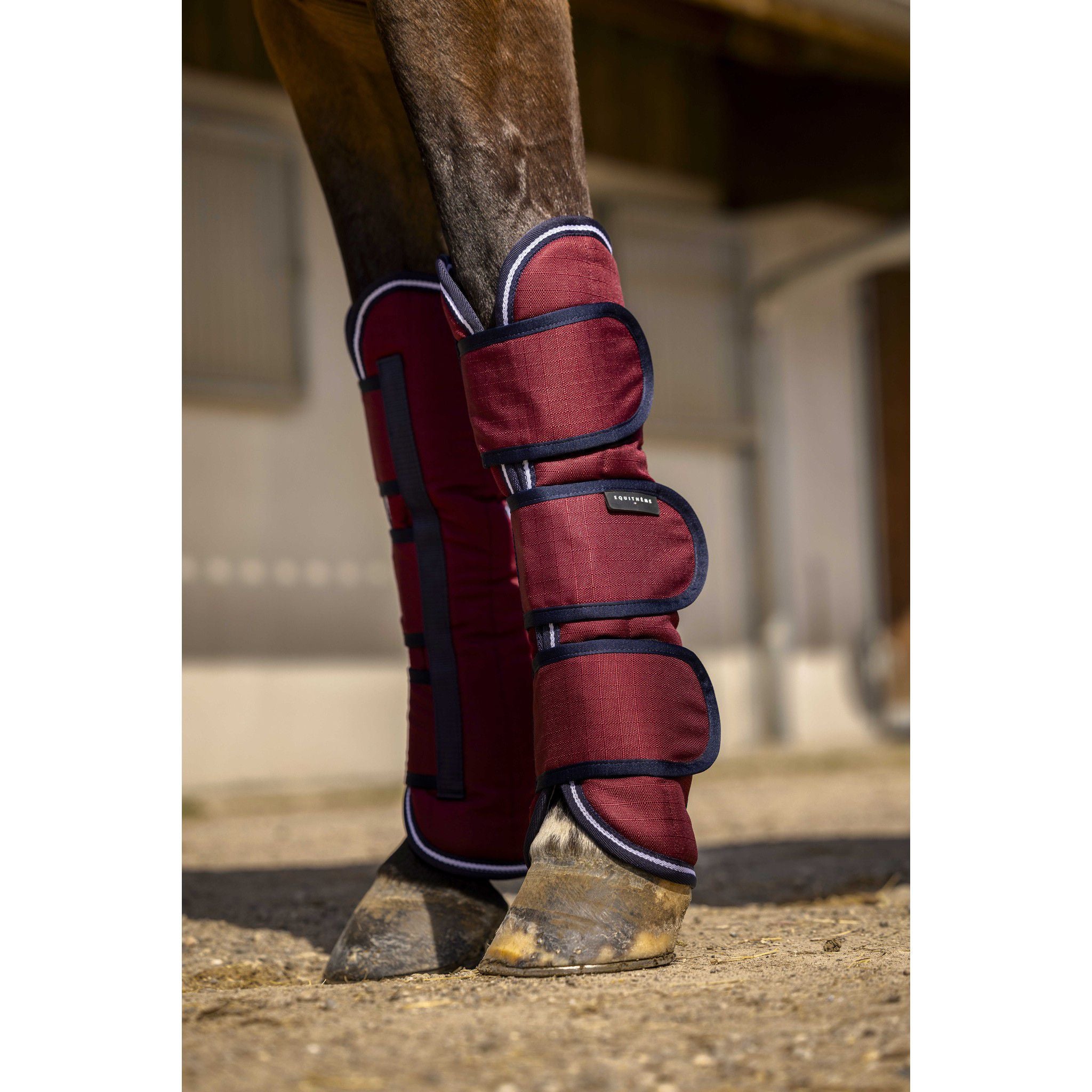 EQUITHÈME Tyrex 1200D Shipping boots Burgundy 402085033
