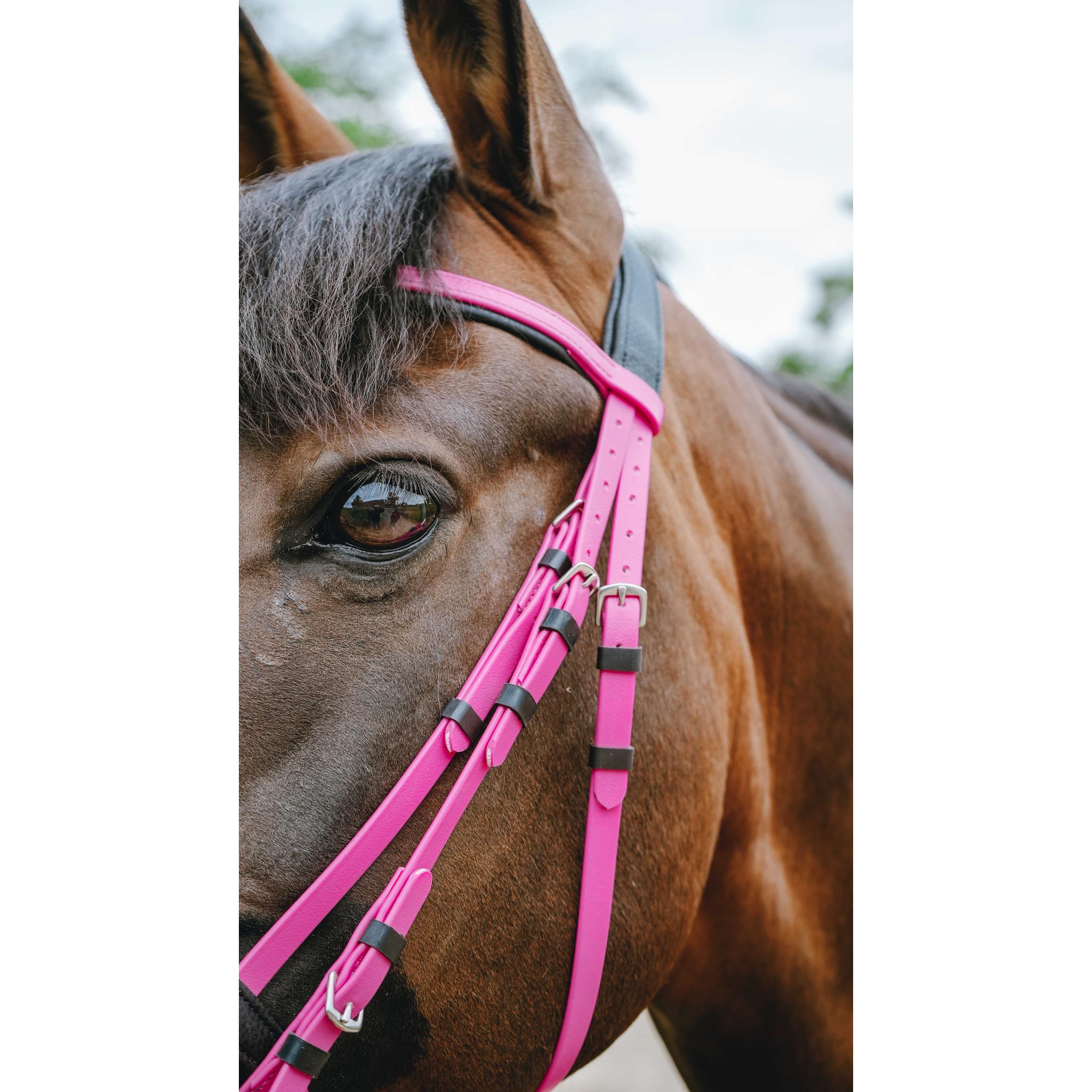 Norton Pop Bridle Pink 301928313