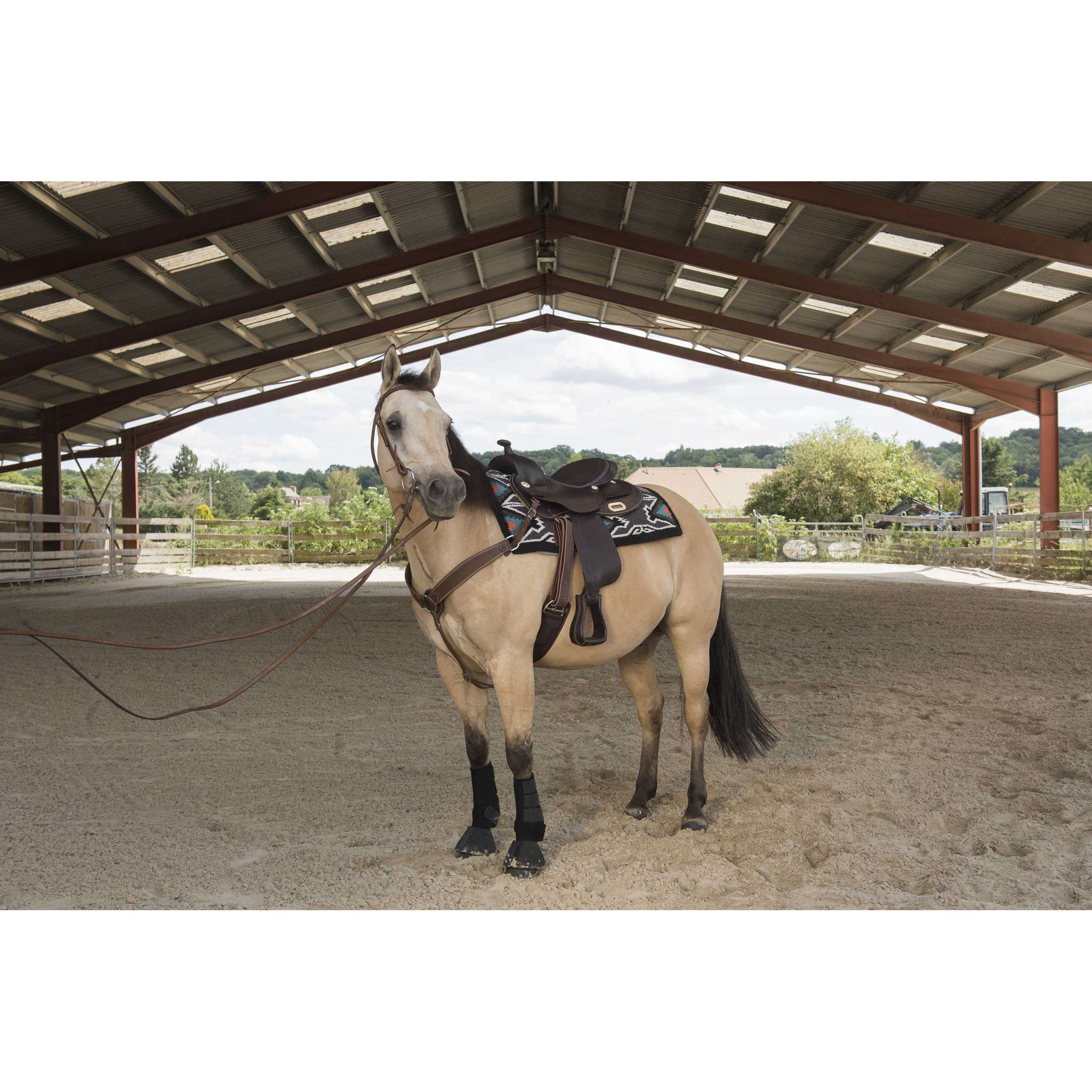 Westride Arvada Saddle by Franck Perret Chocolate 800044016