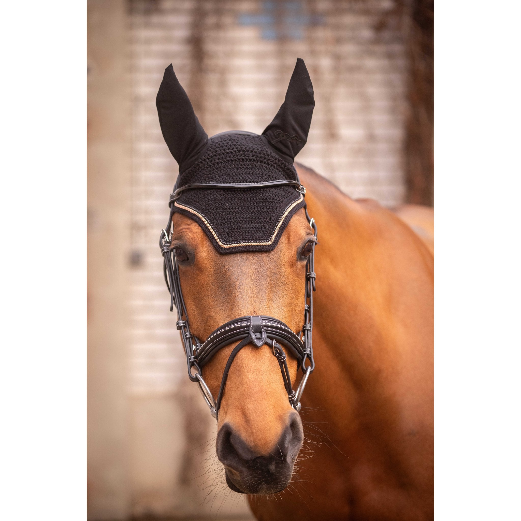 Pénélope Diamant Fly Veil Black/golden pink - 306894250_ambi_1