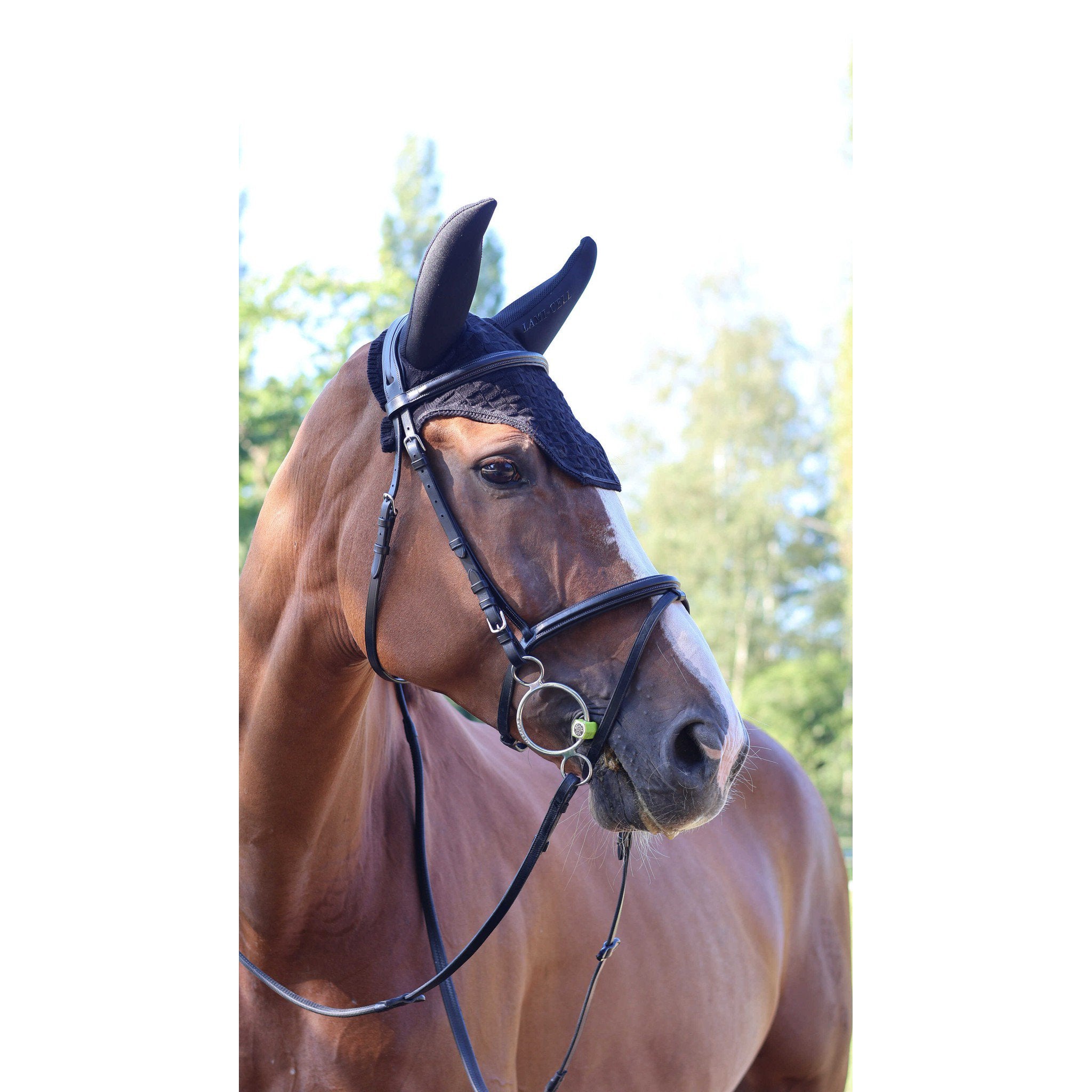 Lami-Cell Silentair Fly Veil Black 320038302