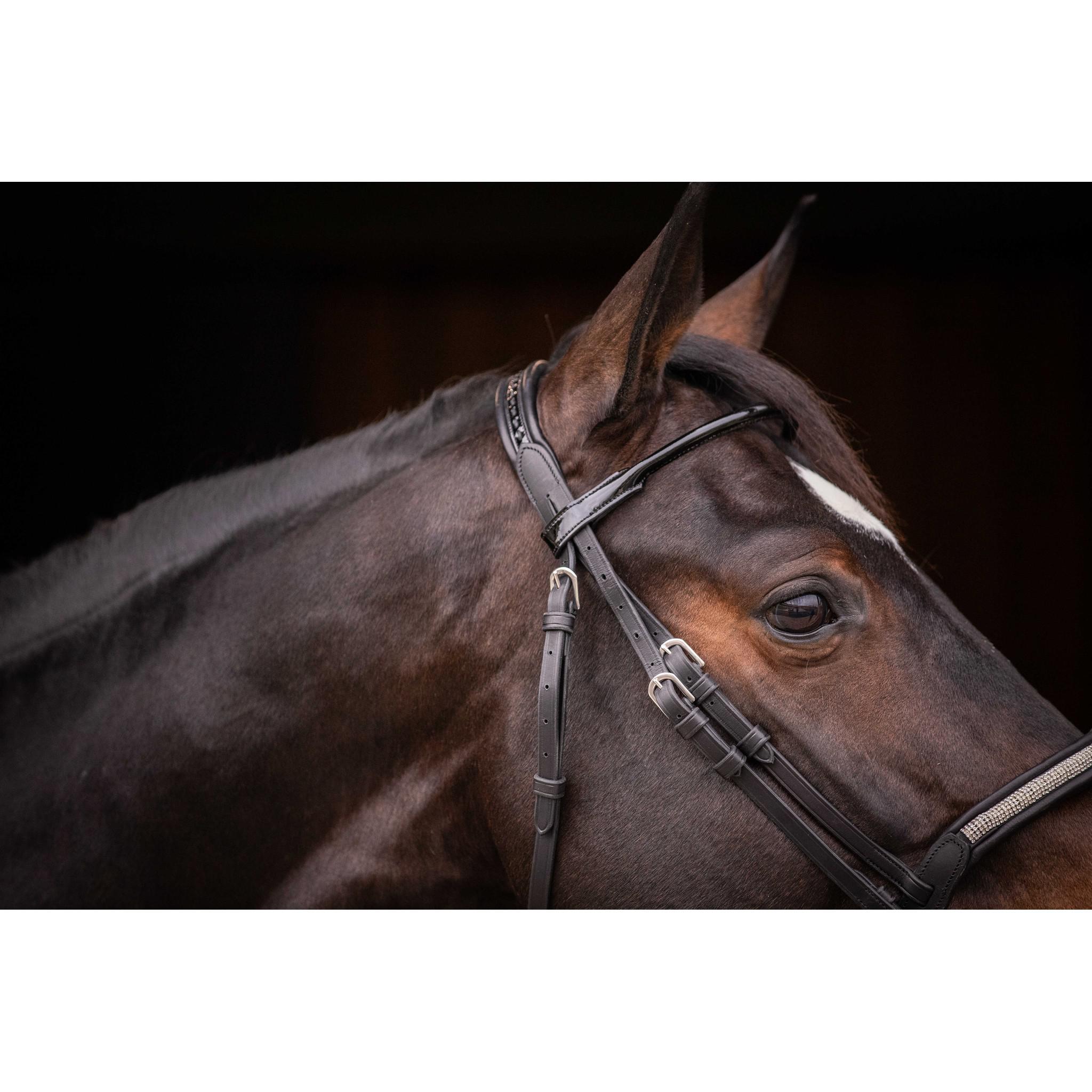 Pénélope Symphonie Bridle Black 301612302