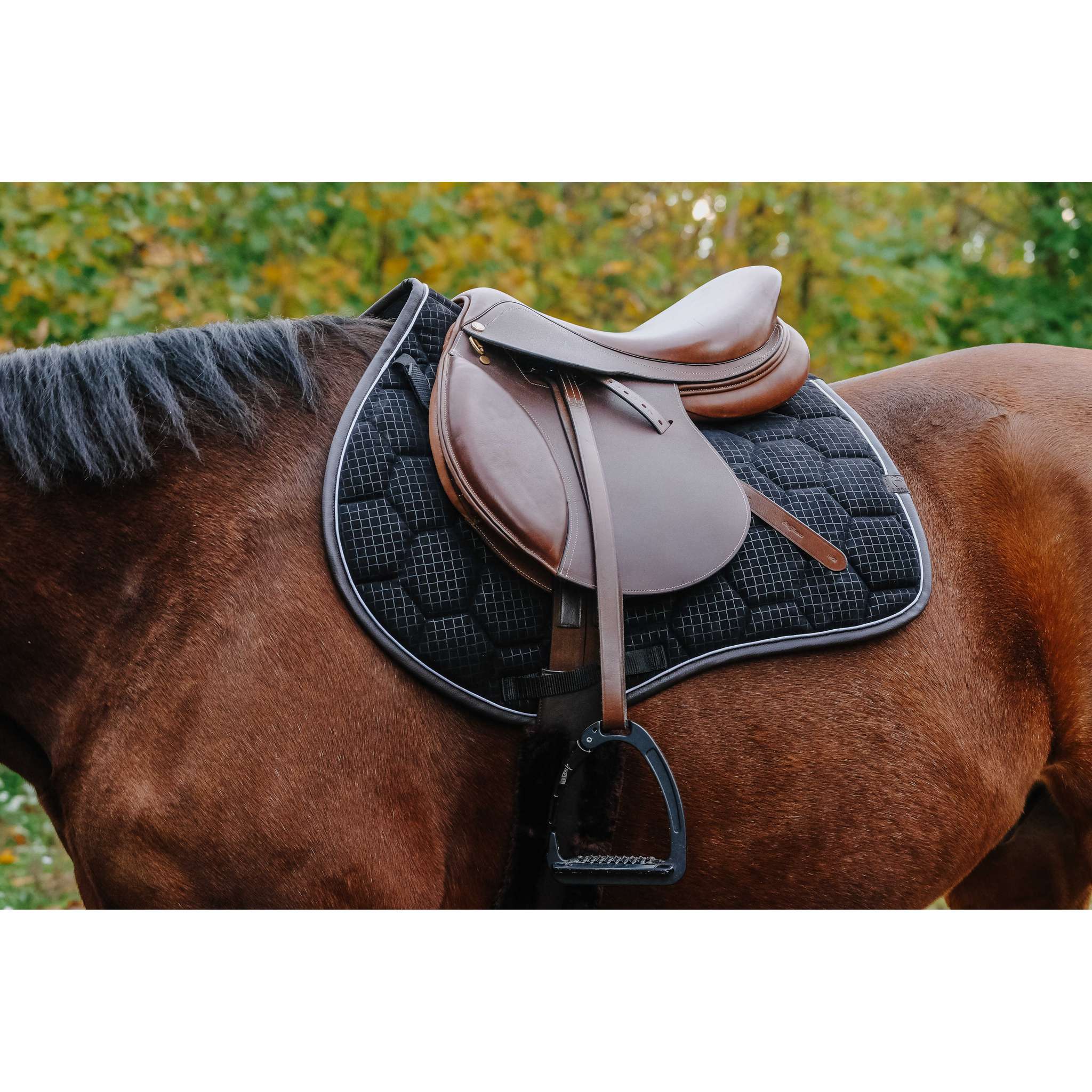 EQUITHÈME Quadri All-Purpose Saddle Pad Black - 204779002_ambi_1