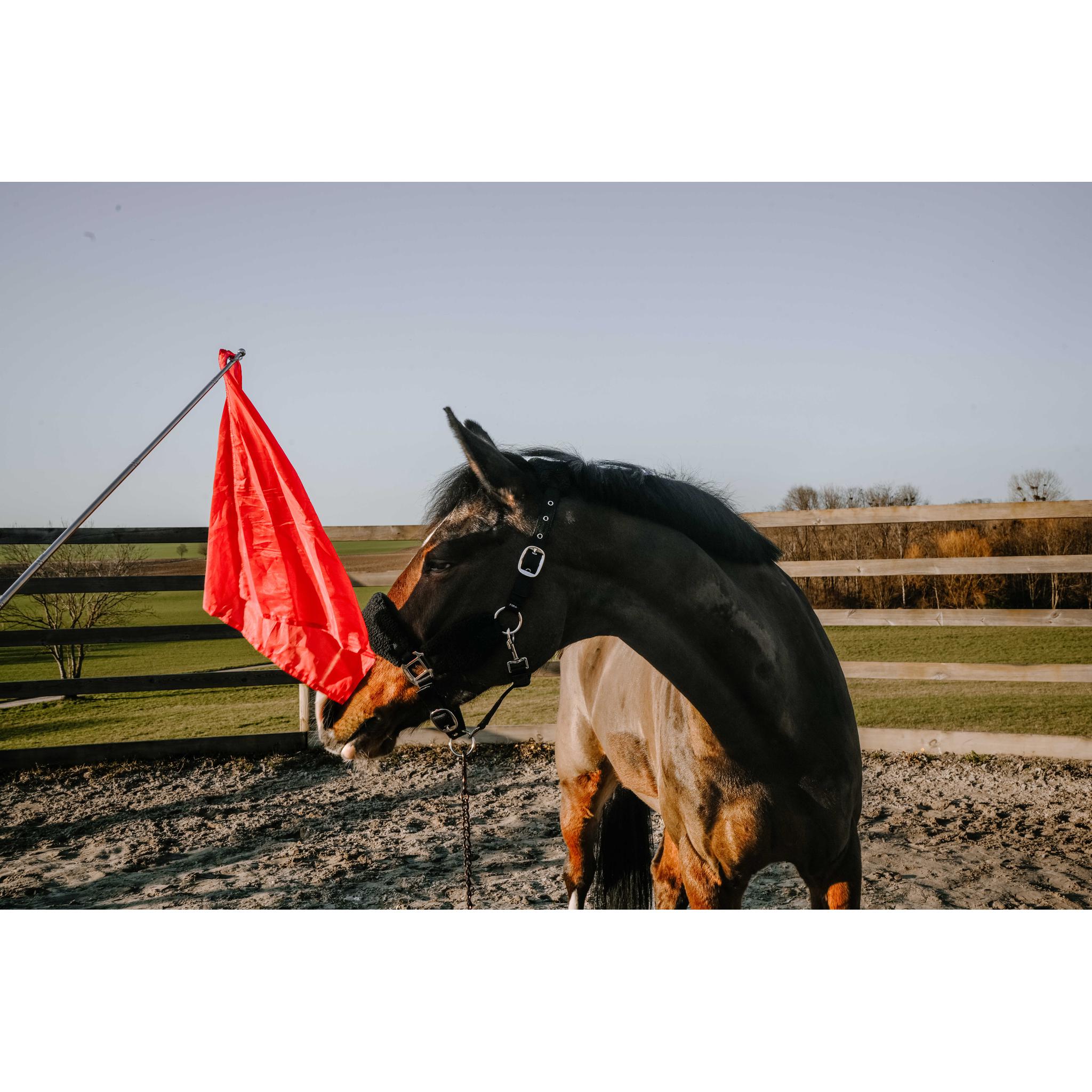 HIPPO-TONIC Desensitization Flag Red - 704170003_ambi_2