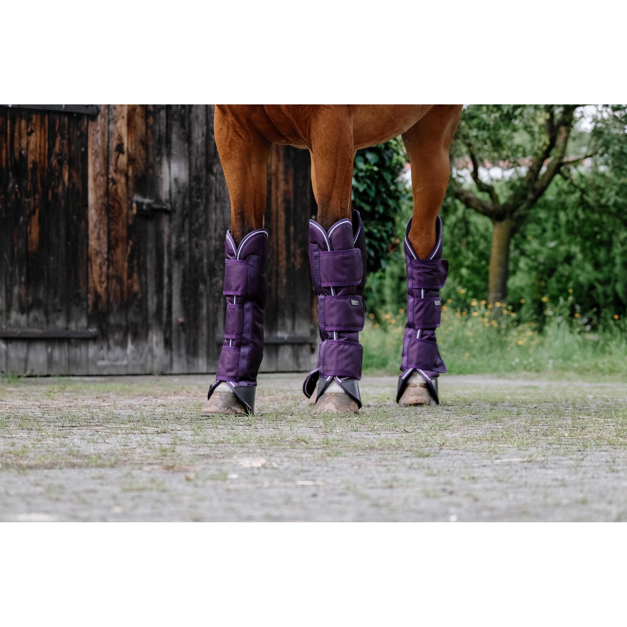 EQUITHÈME Tyrex 600D Travel Boots Plum 400569103