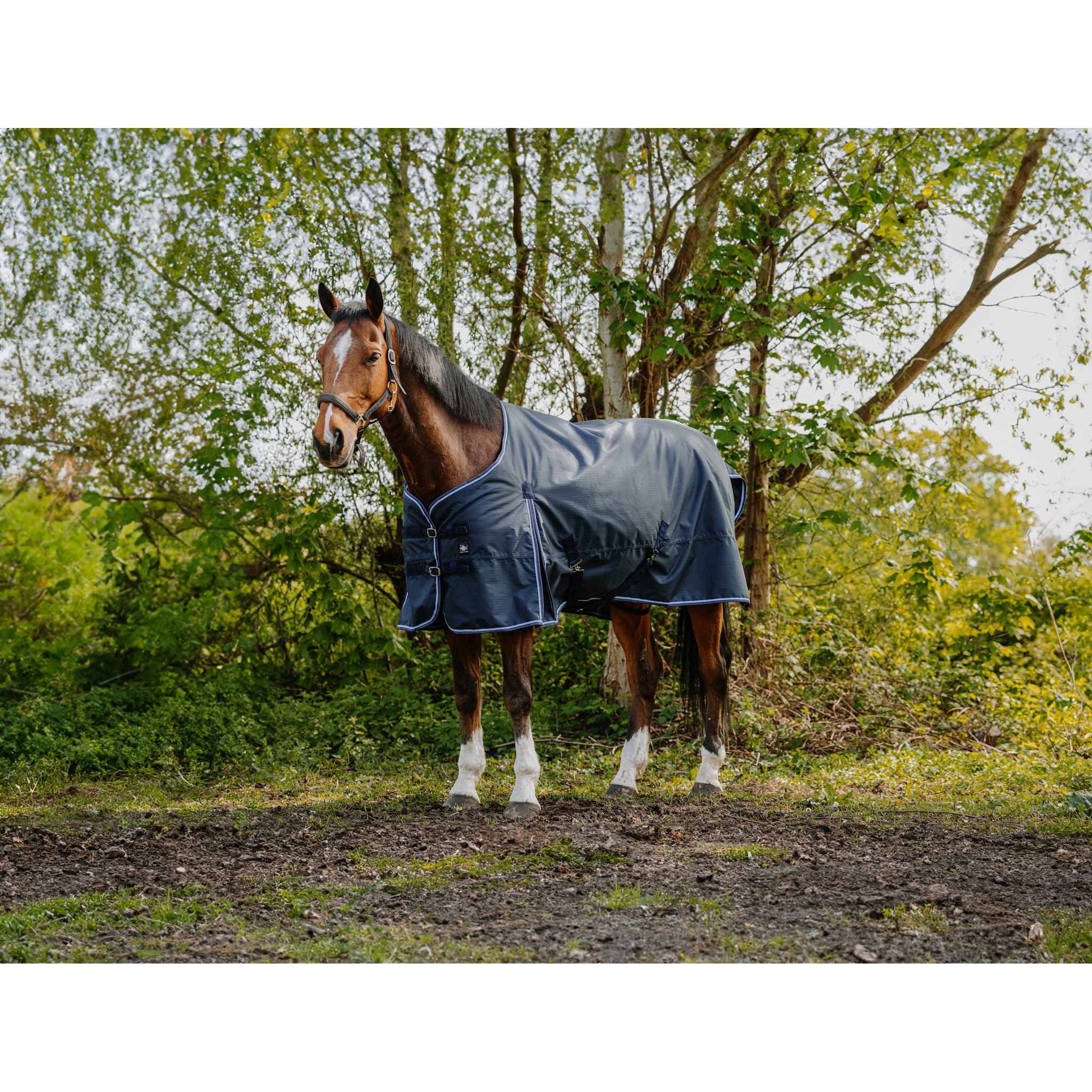 Riding World Eco 1200D Turnout rug - Standard Navy blue 400868063