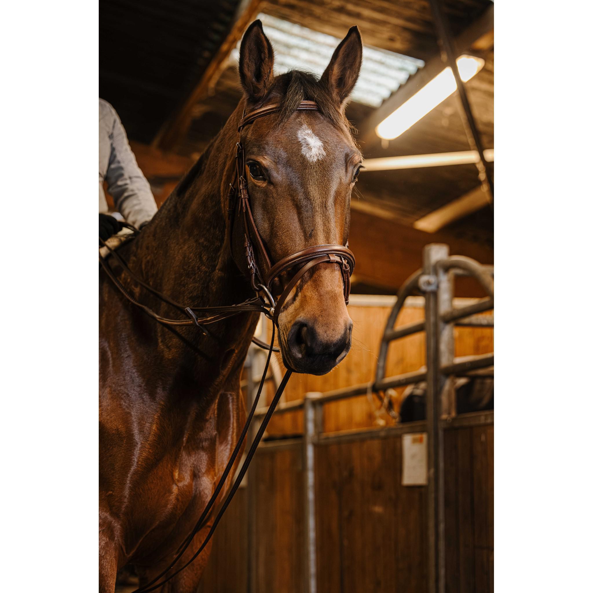 Norton Pro Strap Draw Reins Havana 305057318